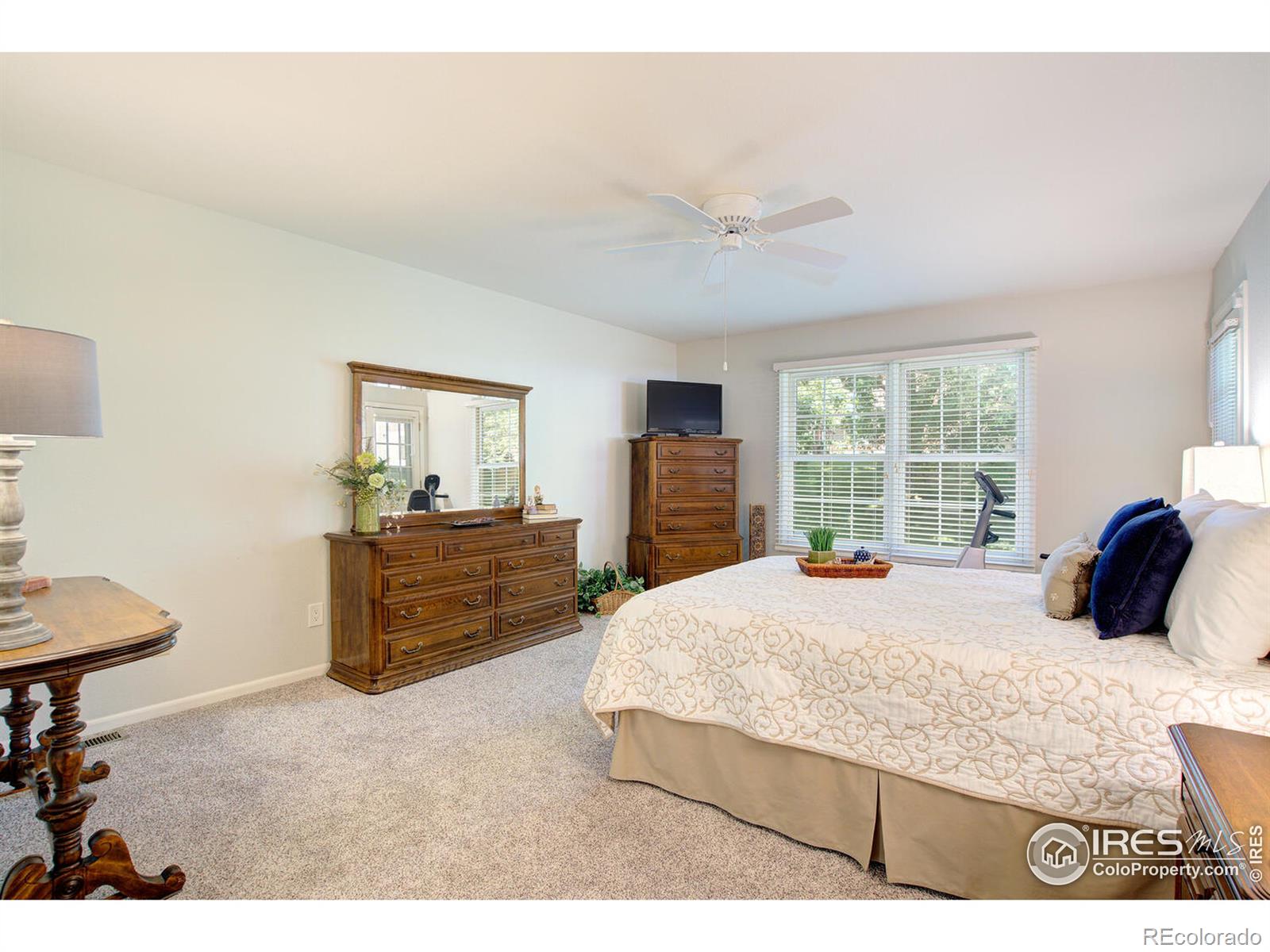 MLS Image #18 for 1142  deercroft court,fort collins, Colorado