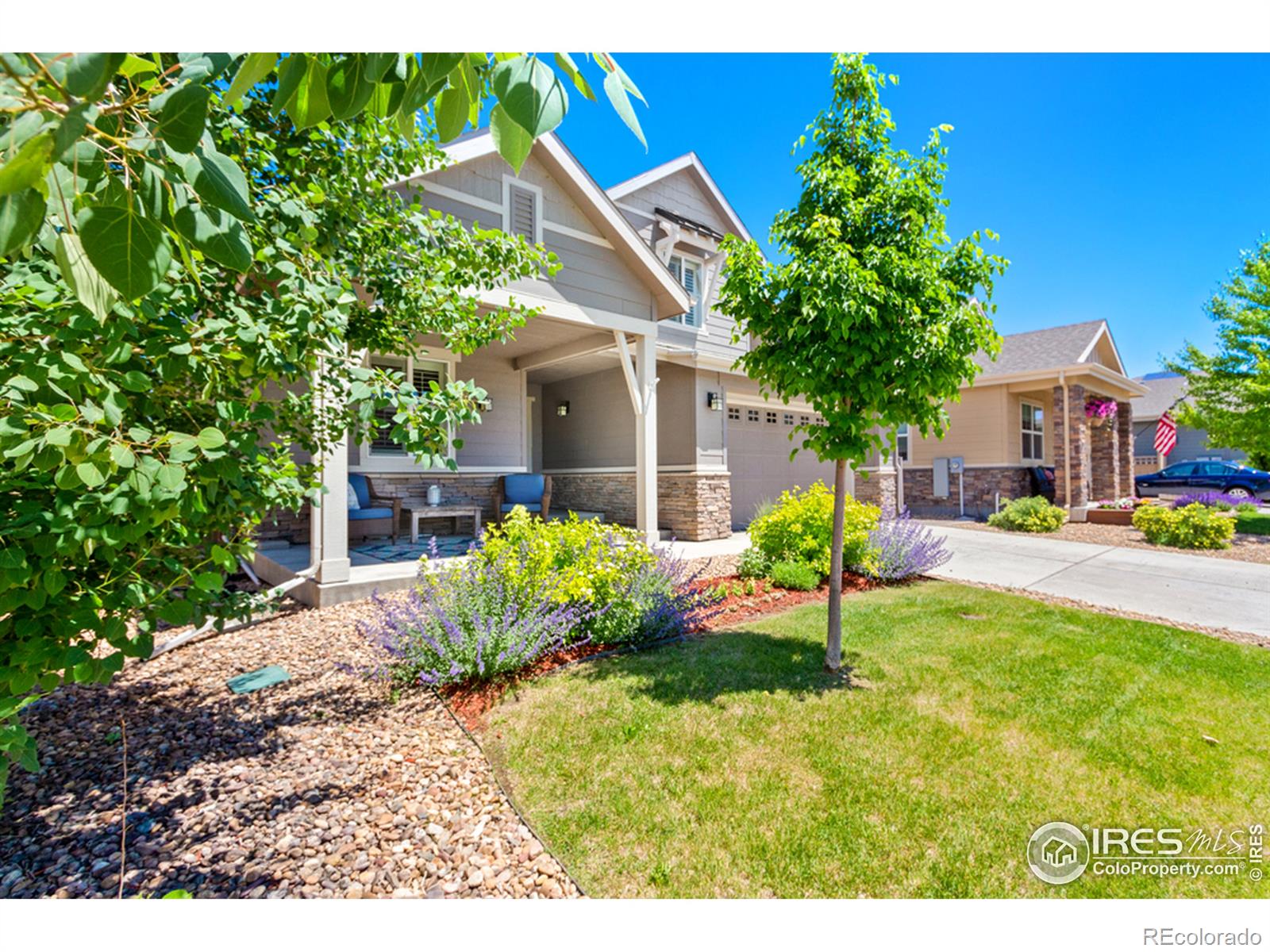 MLS Image #3 for 3914  wild elm way,fort collins, Colorado