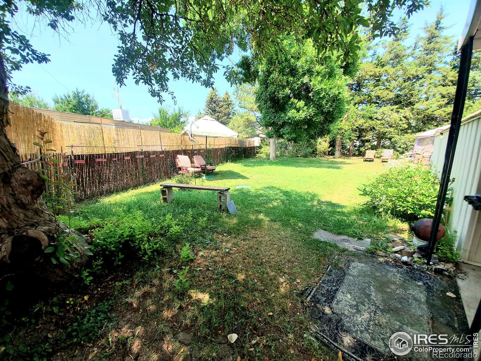 MLS Image #0 for 2735  mallow place,loveland, Colorado