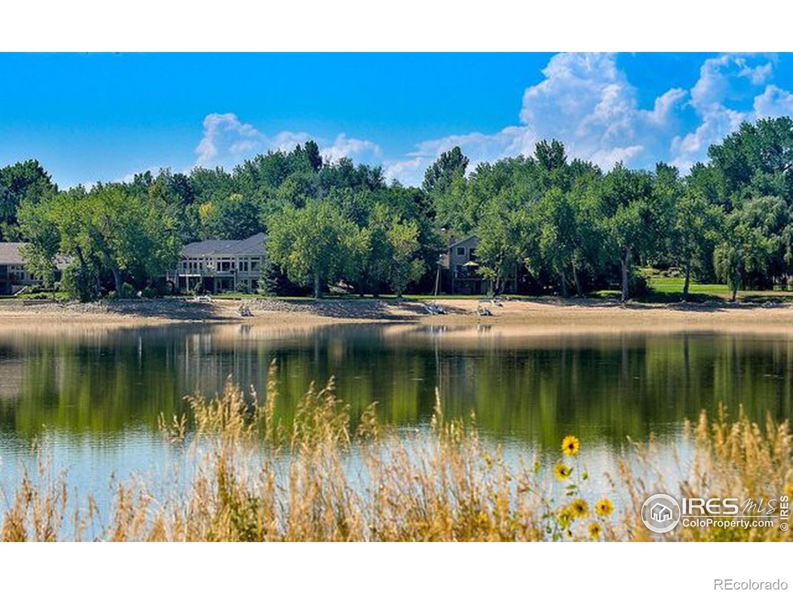 MLS Image #2 for 1004  sailors reef ,fort collins, Colorado