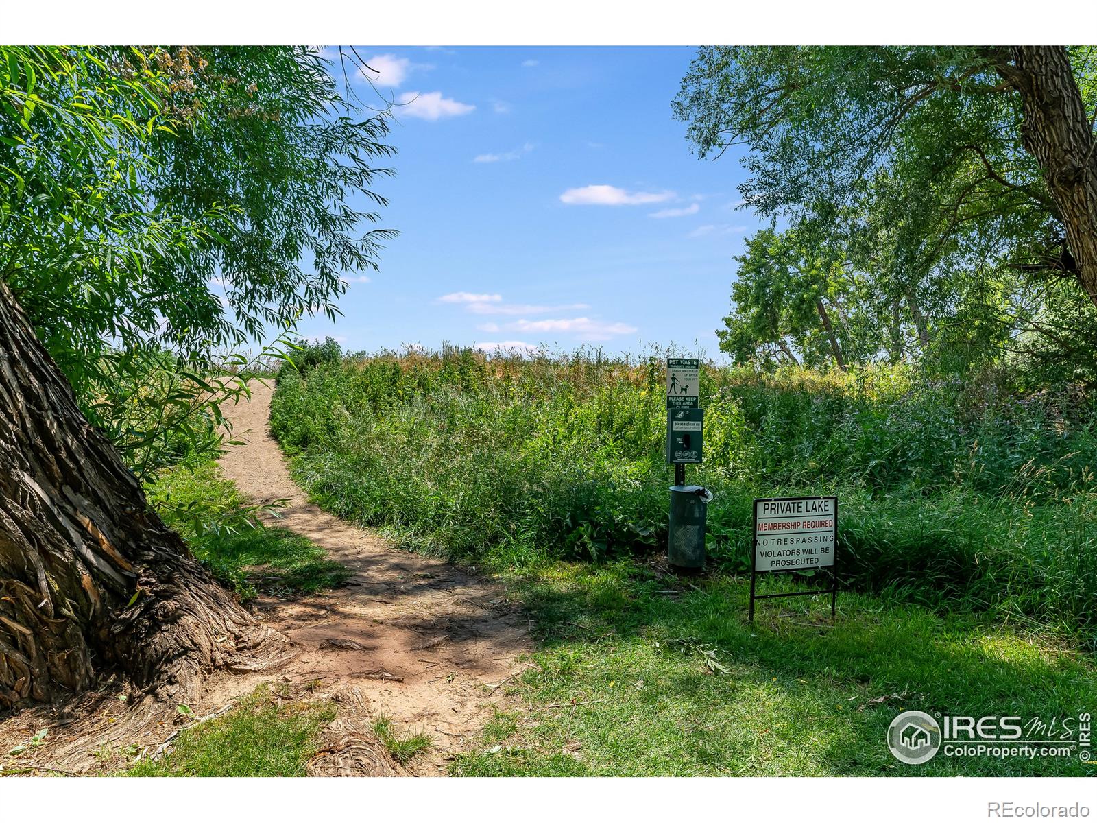 MLS Image #22 for 1004  sailors reef ,fort collins, Colorado