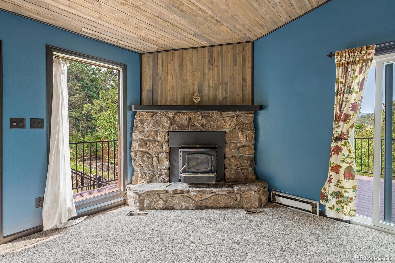 MLS Image #5 for 163  silver springs road,bailey, Colorado