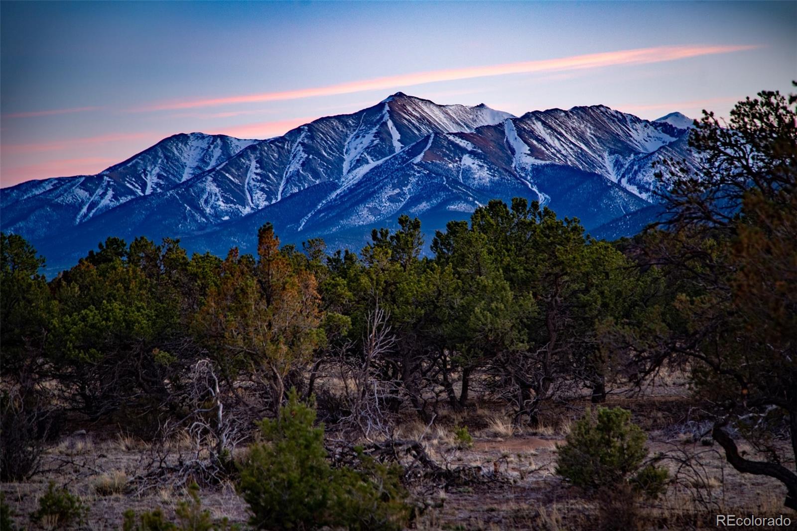 MLS Image #2 for 33515  mt harvard circle,buena vista, Colorado