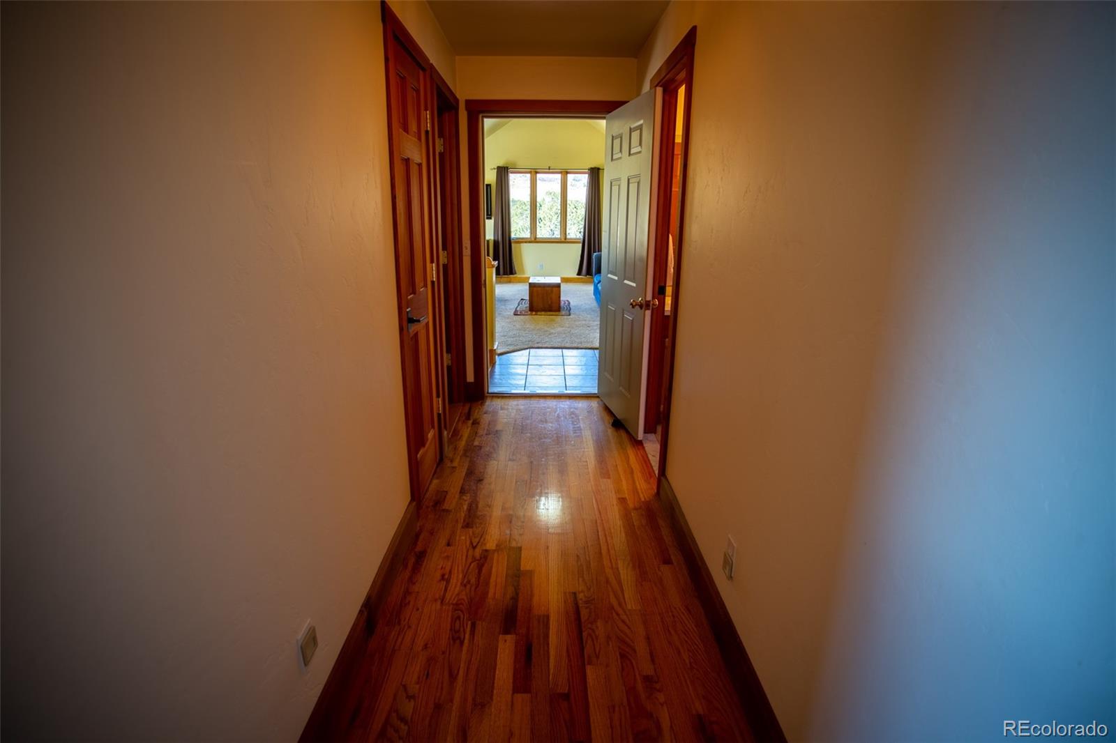 MLS Image #23 for 33515  mt harvard circle,buena vista, Colorado