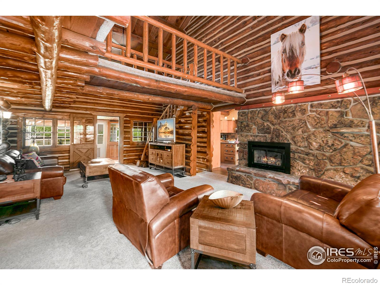 MLS Image #24 for 4912  pueblo drive,laporte, Colorado