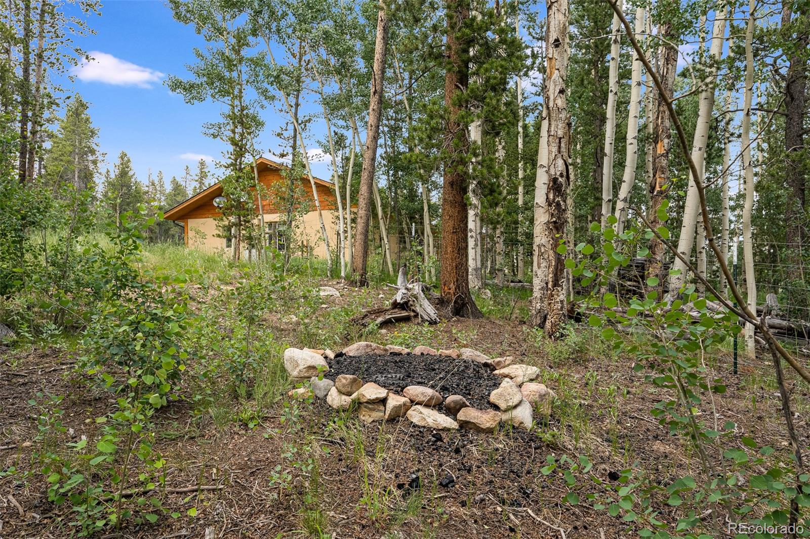 MLS Image #1 for 596  cannon court,fairplay, Colorado