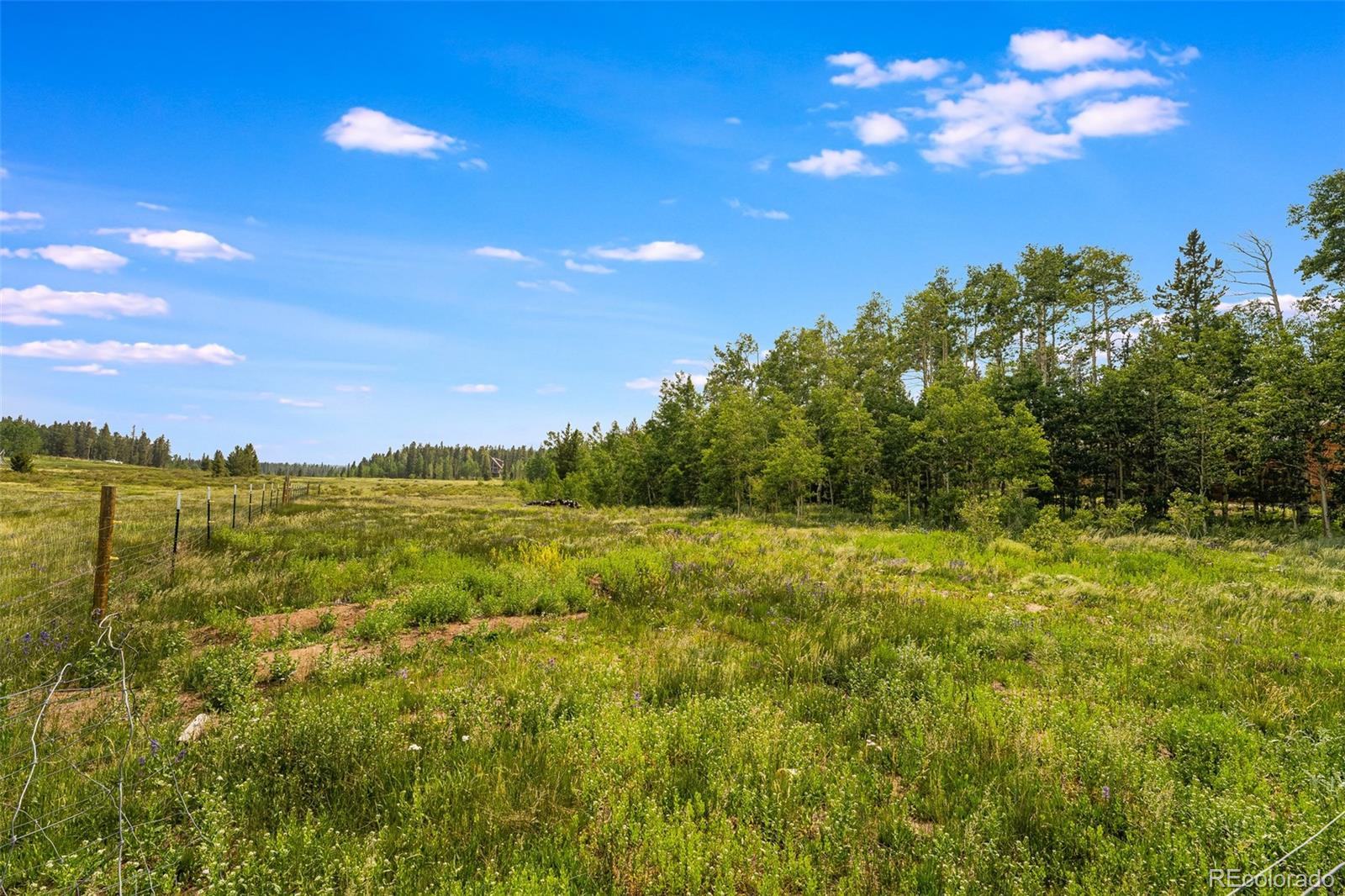 MLS Image #26 for 596  cannon court,fairplay, Colorado