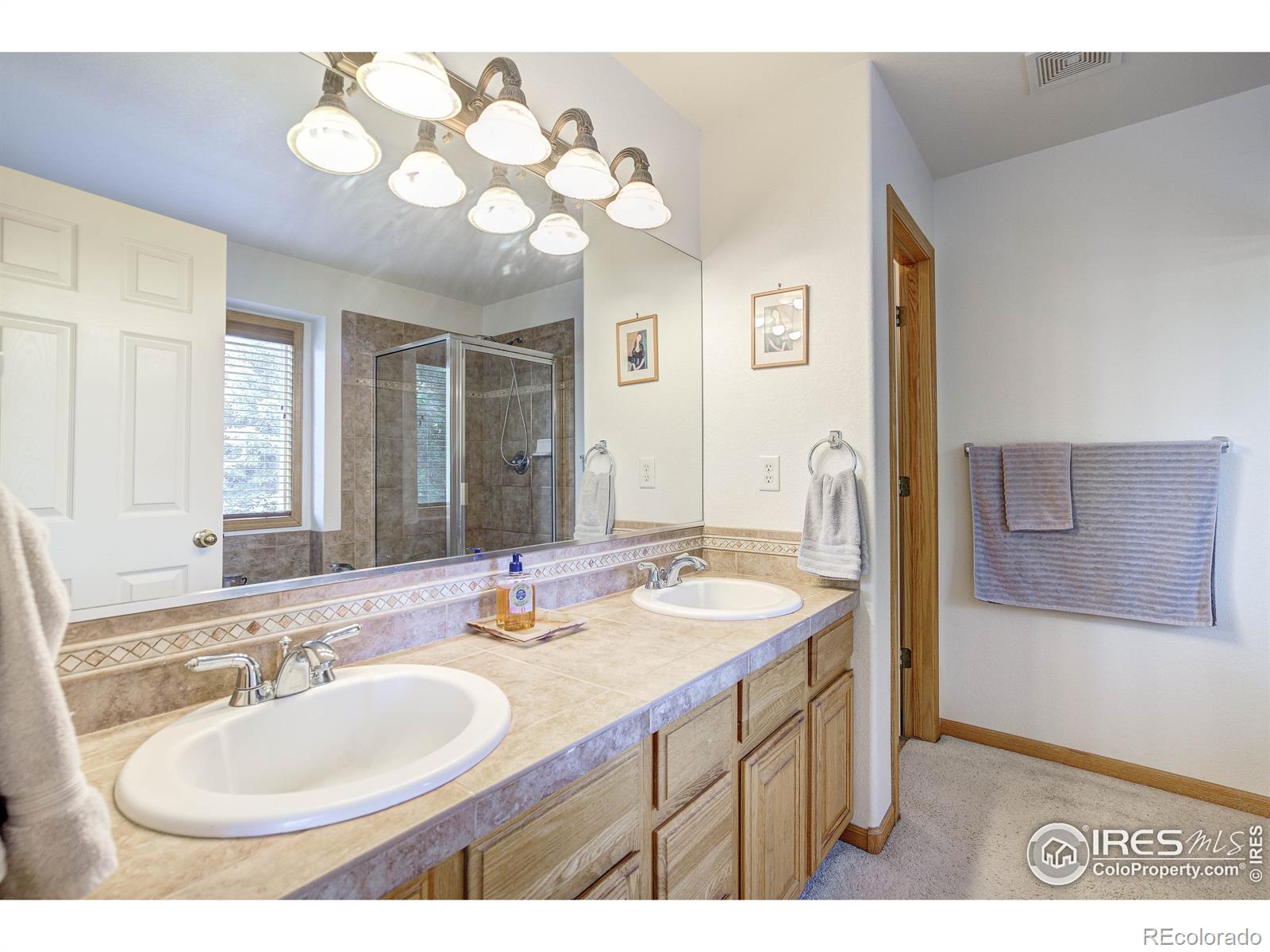 MLS Image #16 for 3502  shallow pond drive,fort collins, Colorado