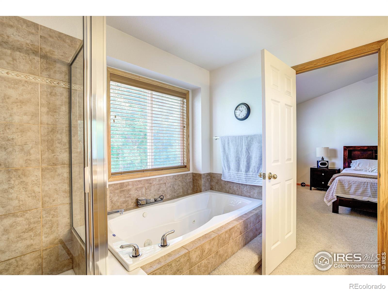 MLS Image #17 for 3502  shallow pond drive,fort collins, Colorado