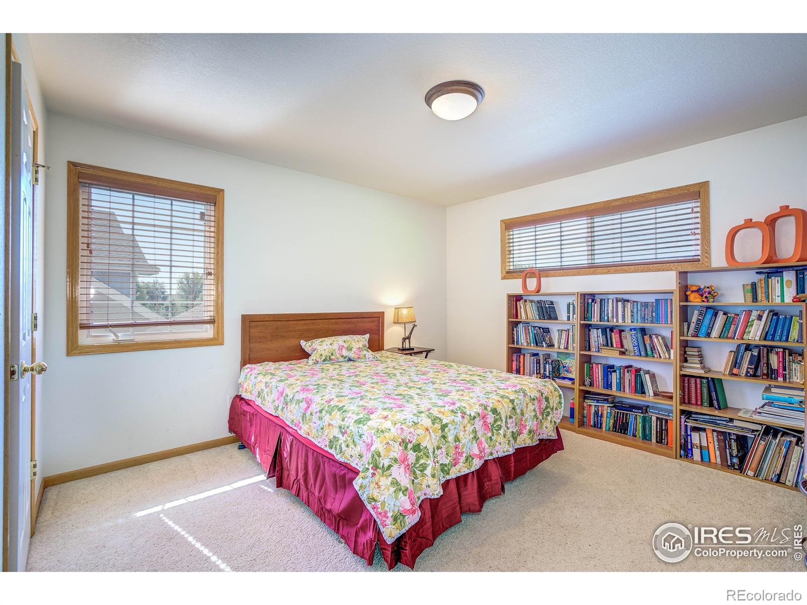 MLS Image #18 for 3502  shallow pond drive,fort collins, Colorado