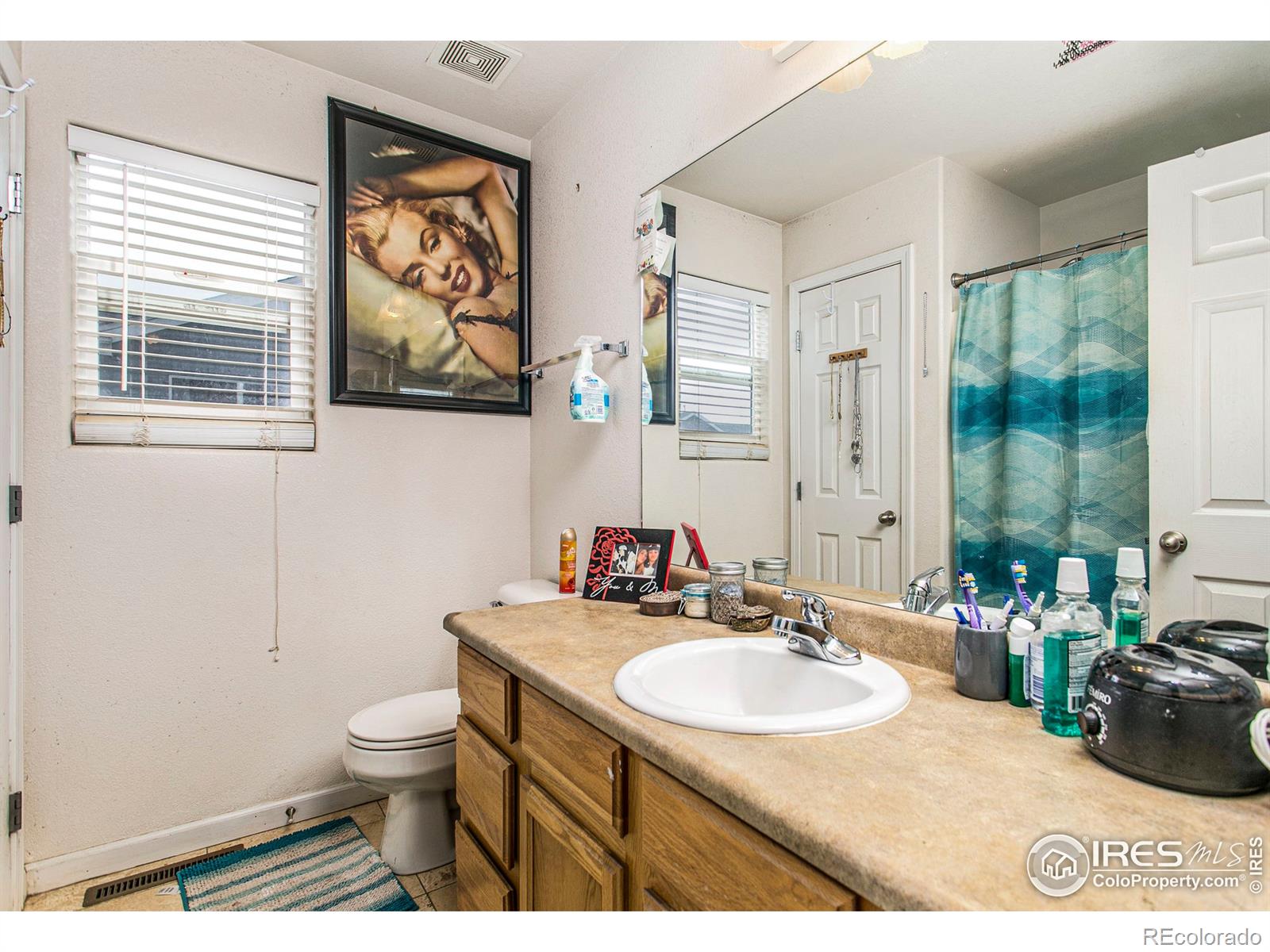 MLS Image #15 for 3780  mount hope street,wellington, Colorado