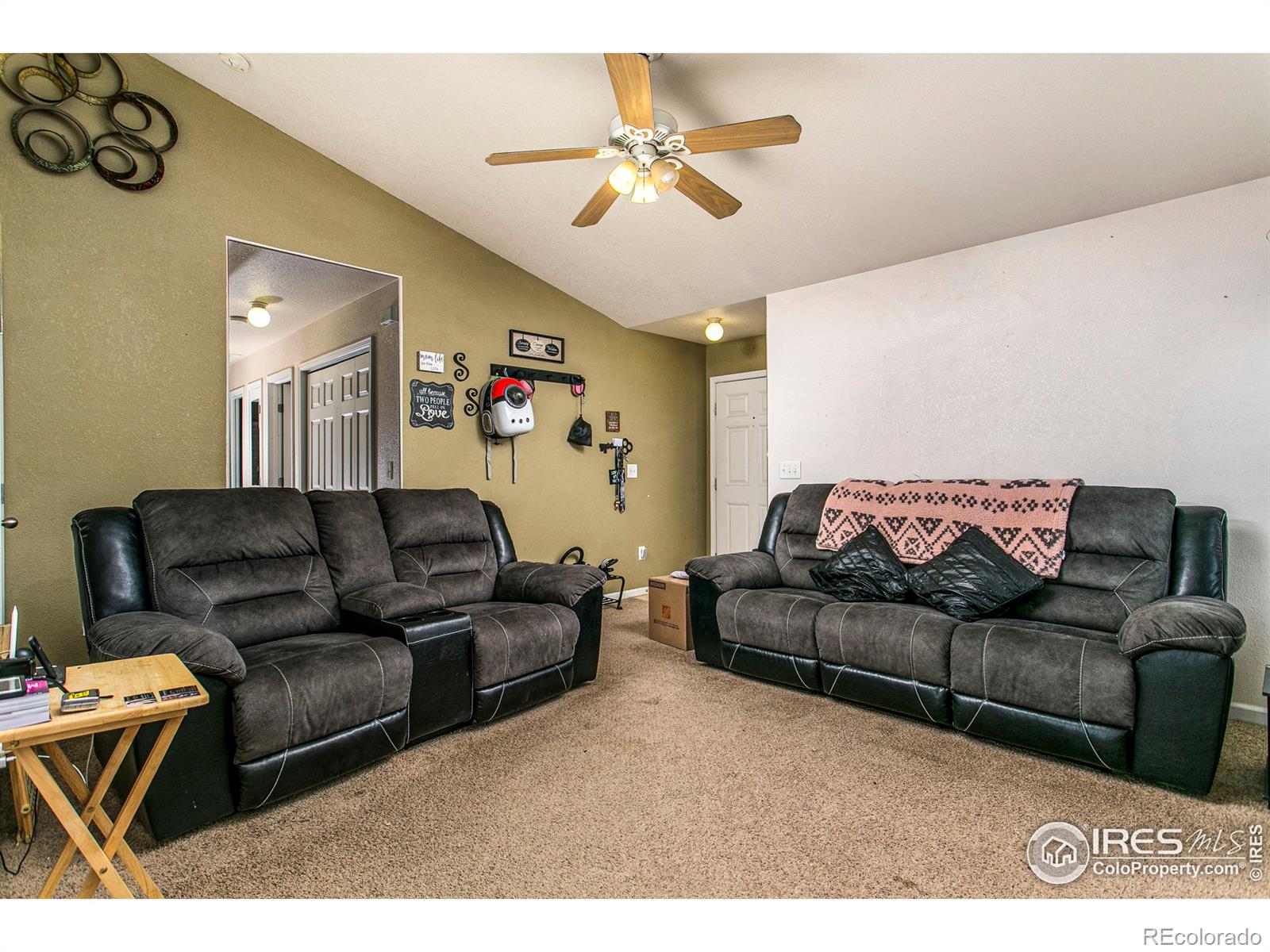 MLS Image #5 for 3780  mount hope street,wellington, Colorado