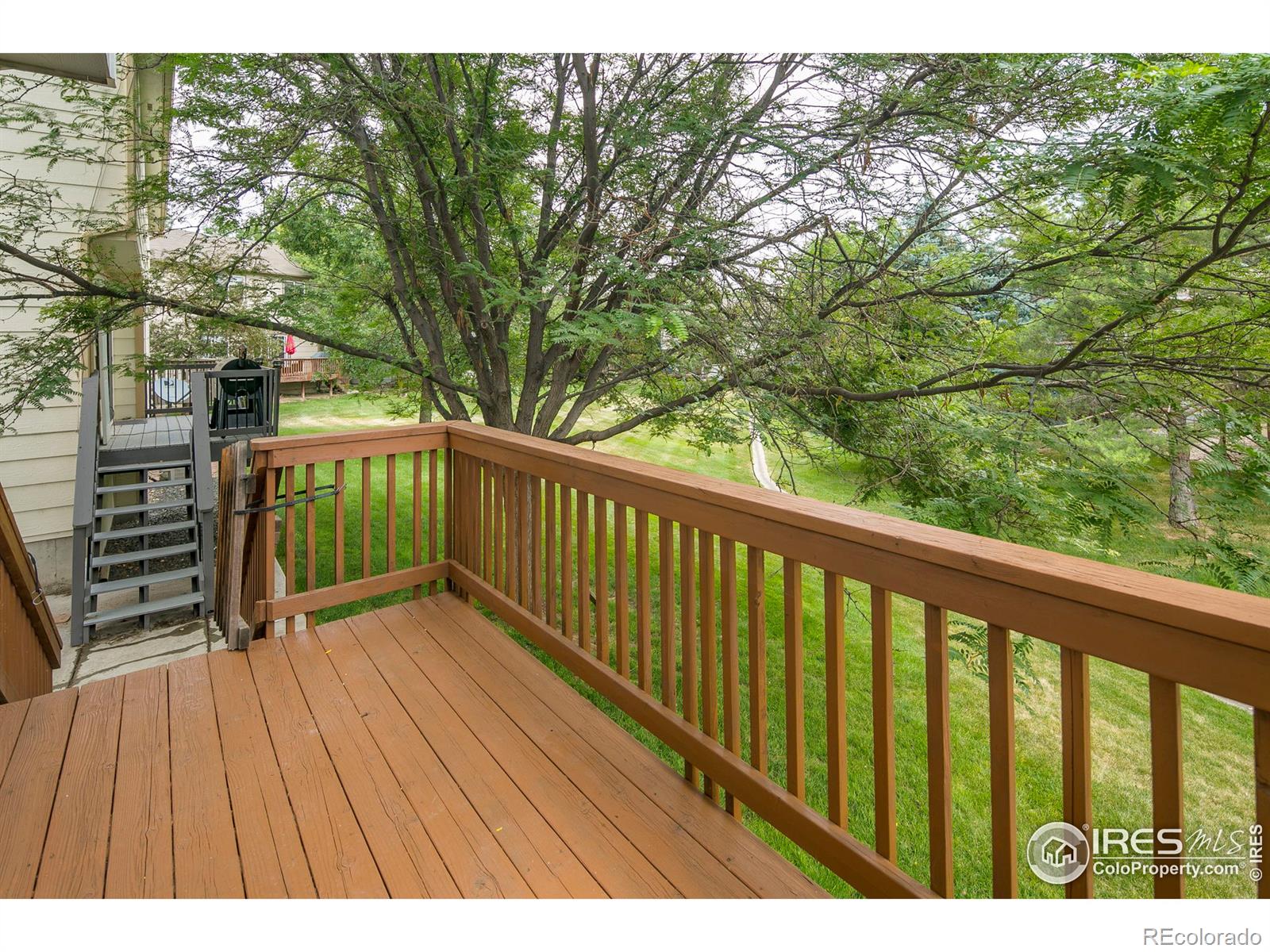 MLS Image #19 for 1044  winona circle,loveland, Colorado