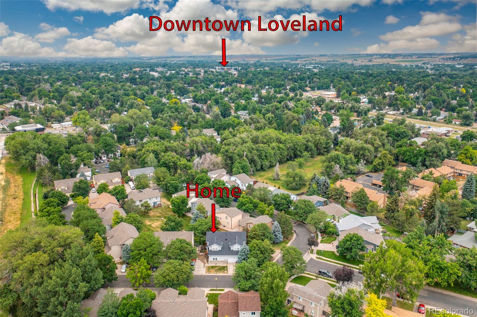 MLS Image #24 for 1044  winona circle,loveland, Colorado