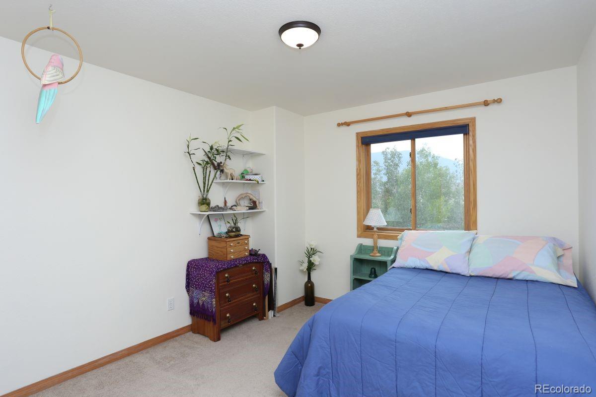 MLS Image #17 for 274  soda creek court,dillon, Colorado