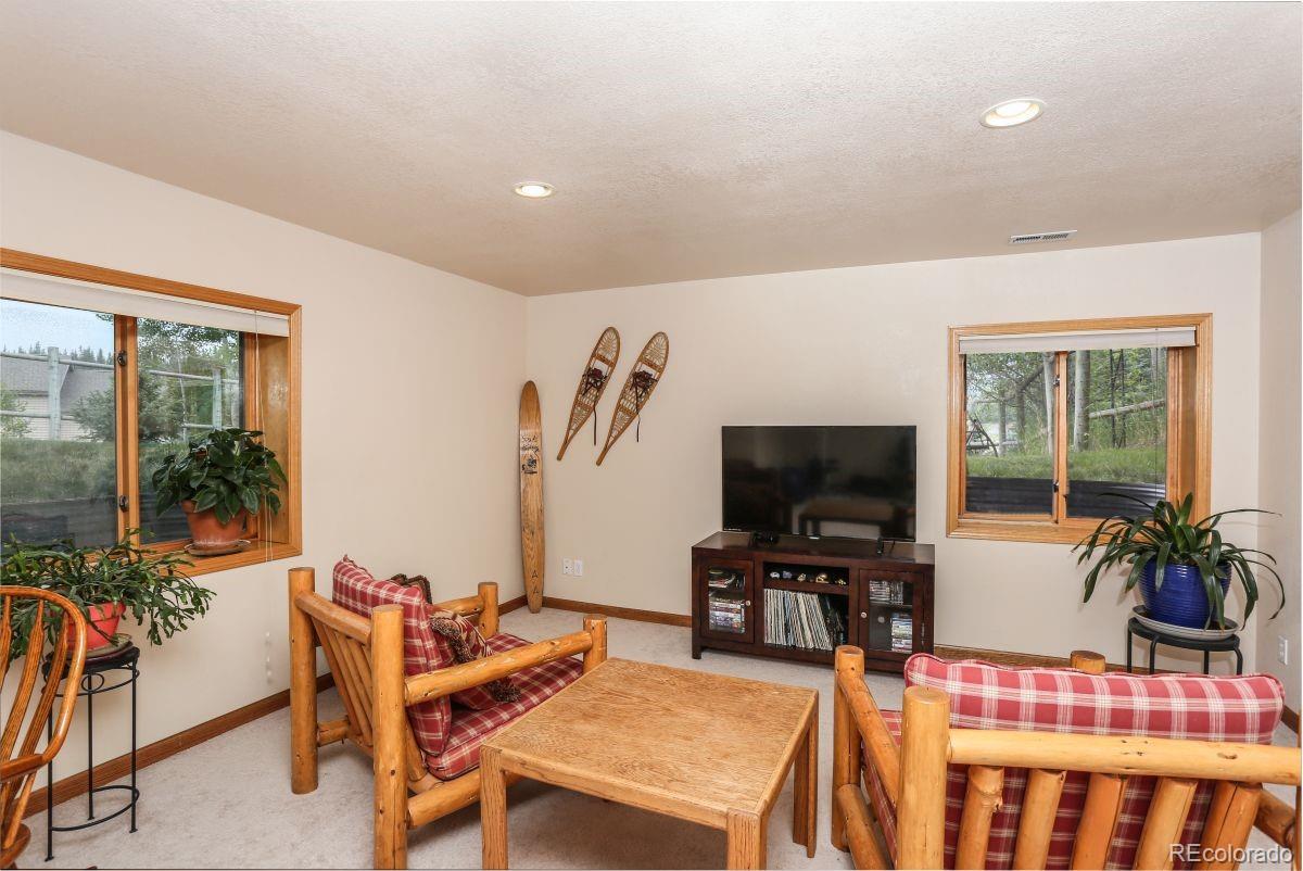 MLS Image #18 for 274  soda creek court,dillon, Colorado