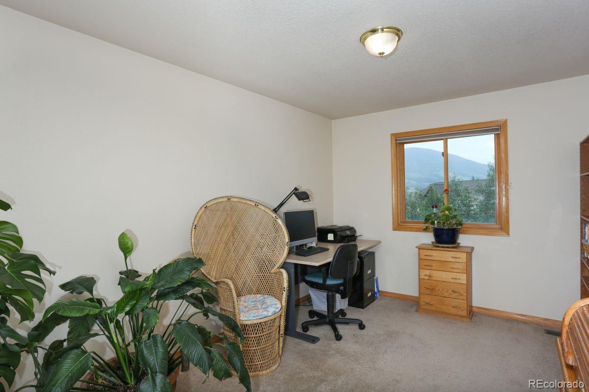 MLS Image #20 for 274  soda creek court,dillon, Colorado