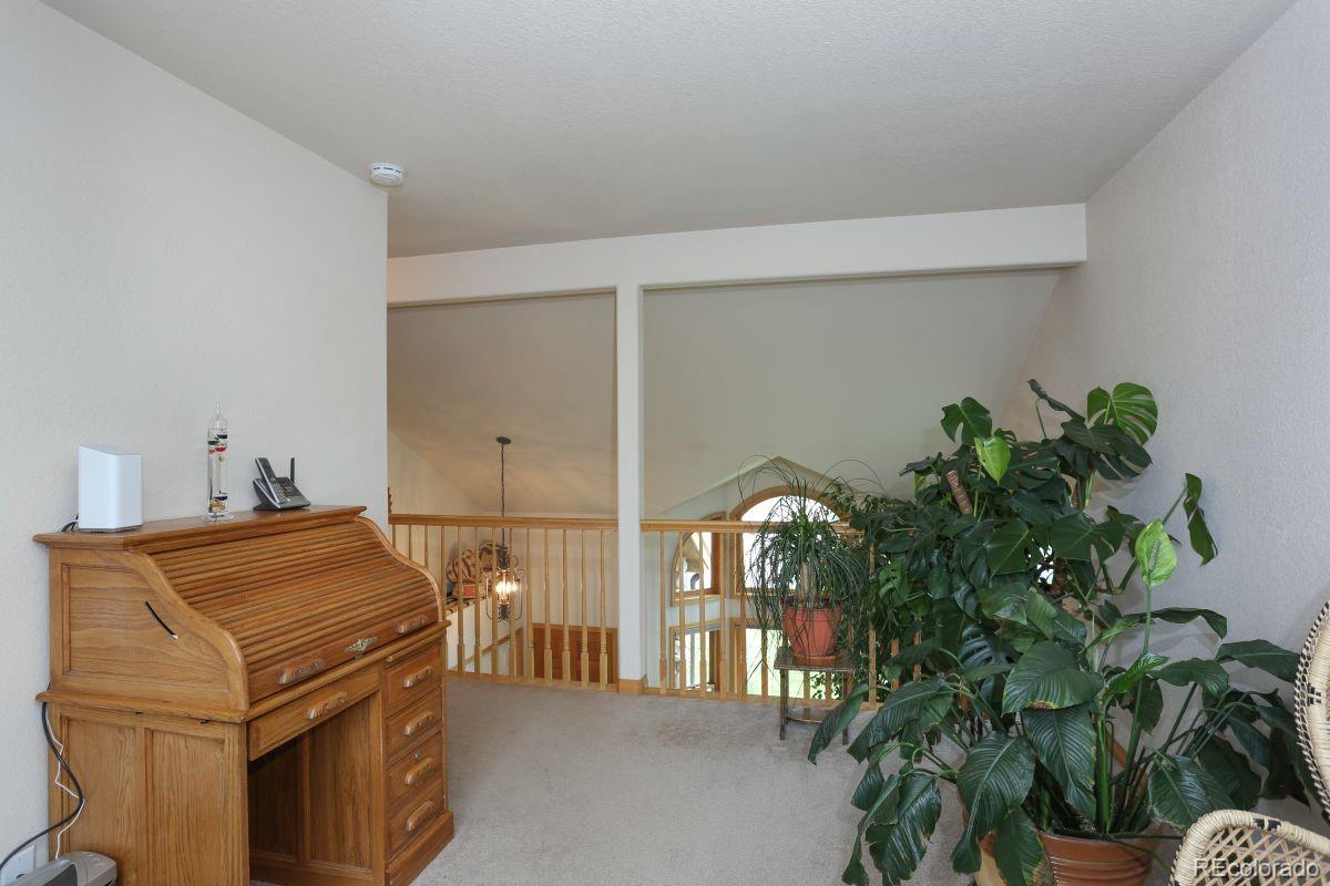 MLS Image #21 for 274  soda creek court,dillon, Colorado