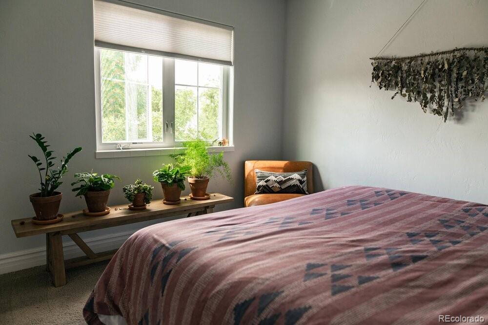 MLS Image #17 for 424  cedar street,buena vista, Colorado