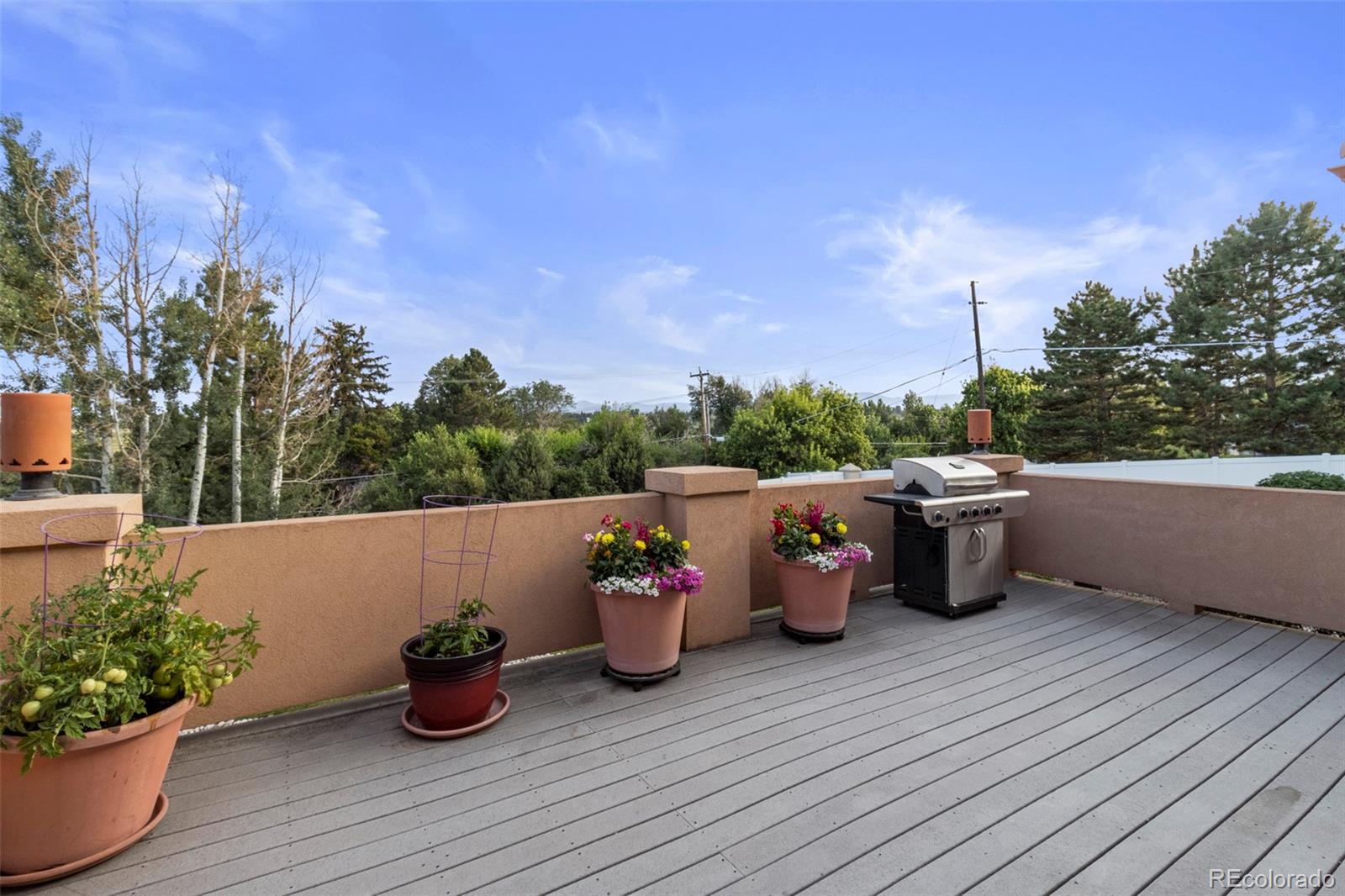 MLS Image #14 for 5843  zang court,arvada, Colorado