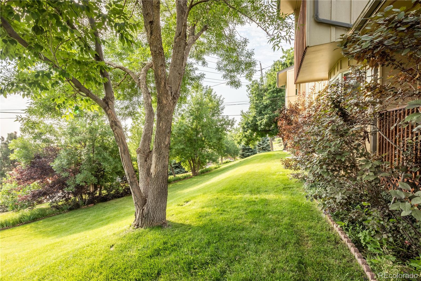 MLS Image #18 for 1054 s alkire street,lakewood, Colorado