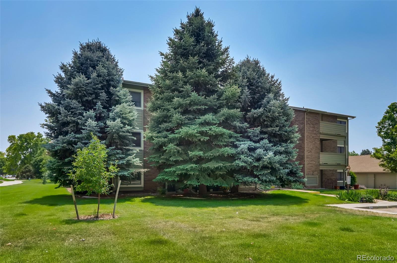 MLS Image #24 for 50  19th avenue,longmont, Colorado