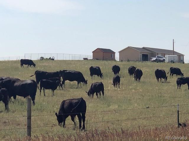 MLS Image #17 for 4465 s calhan highway,yoder, Colorado
