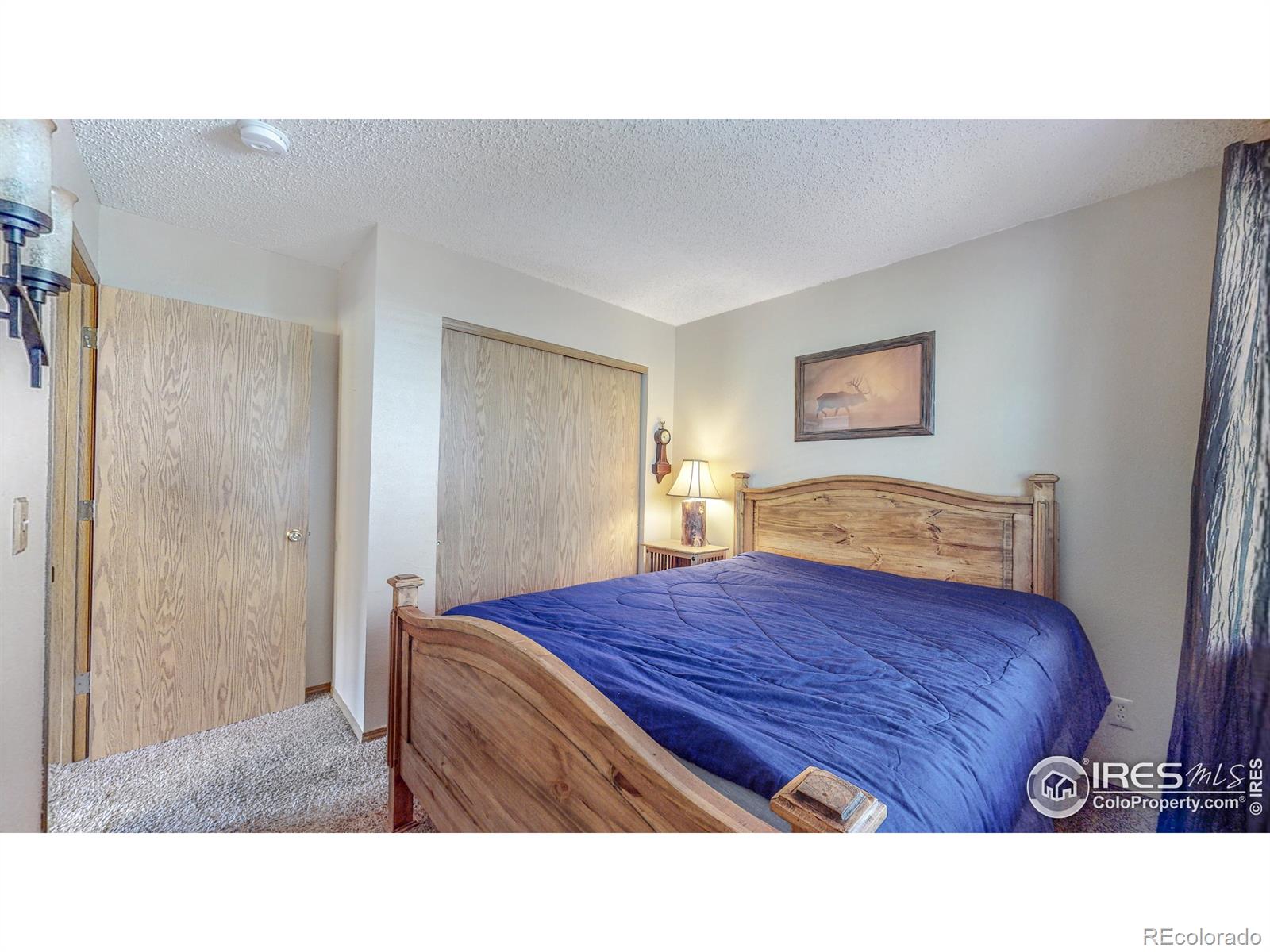 MLS Image #17 for 505  fall river lane,estes park, Colorado