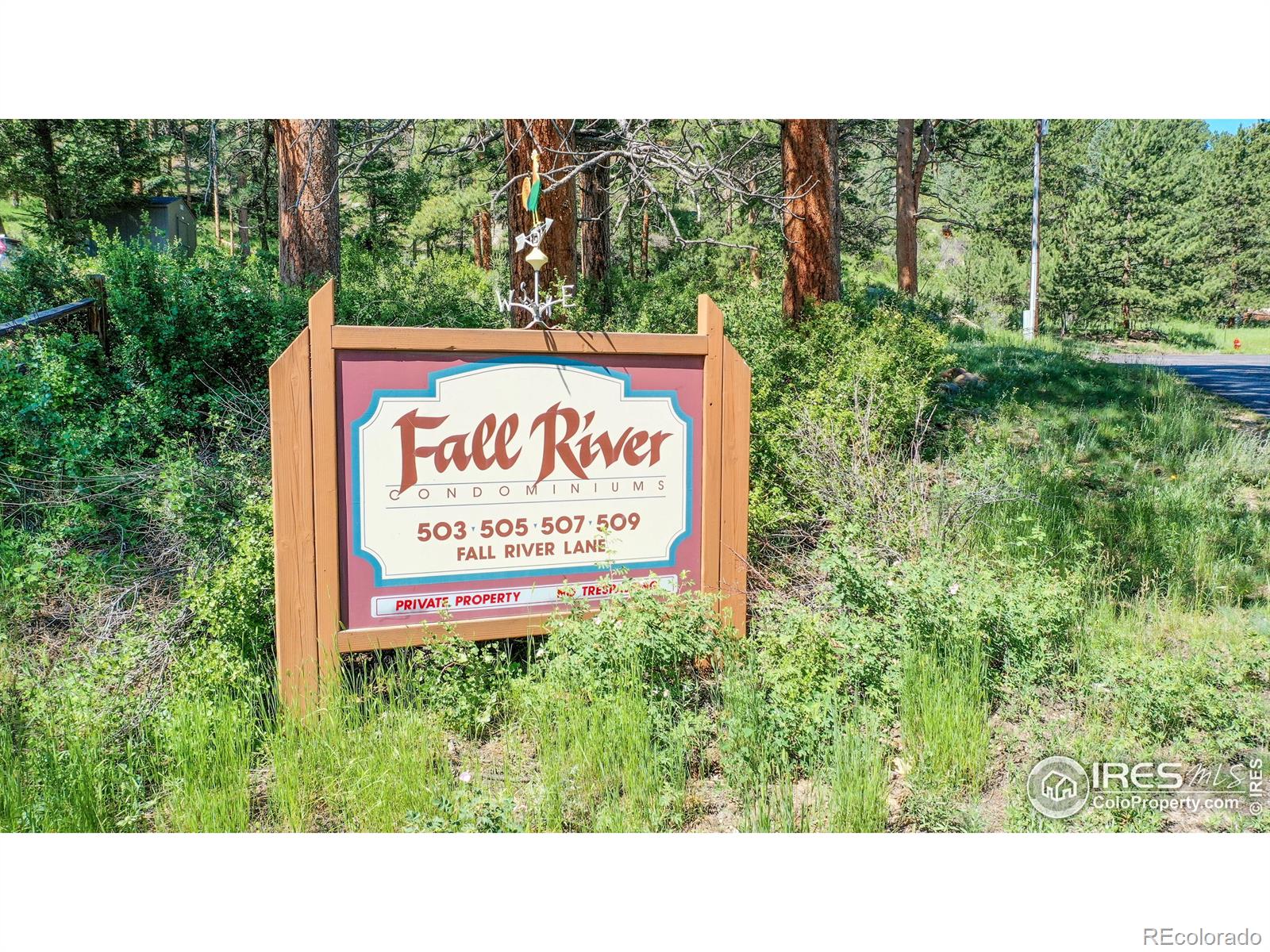 MLS Image #8 for 505  fall river lane,estes park, Colorado