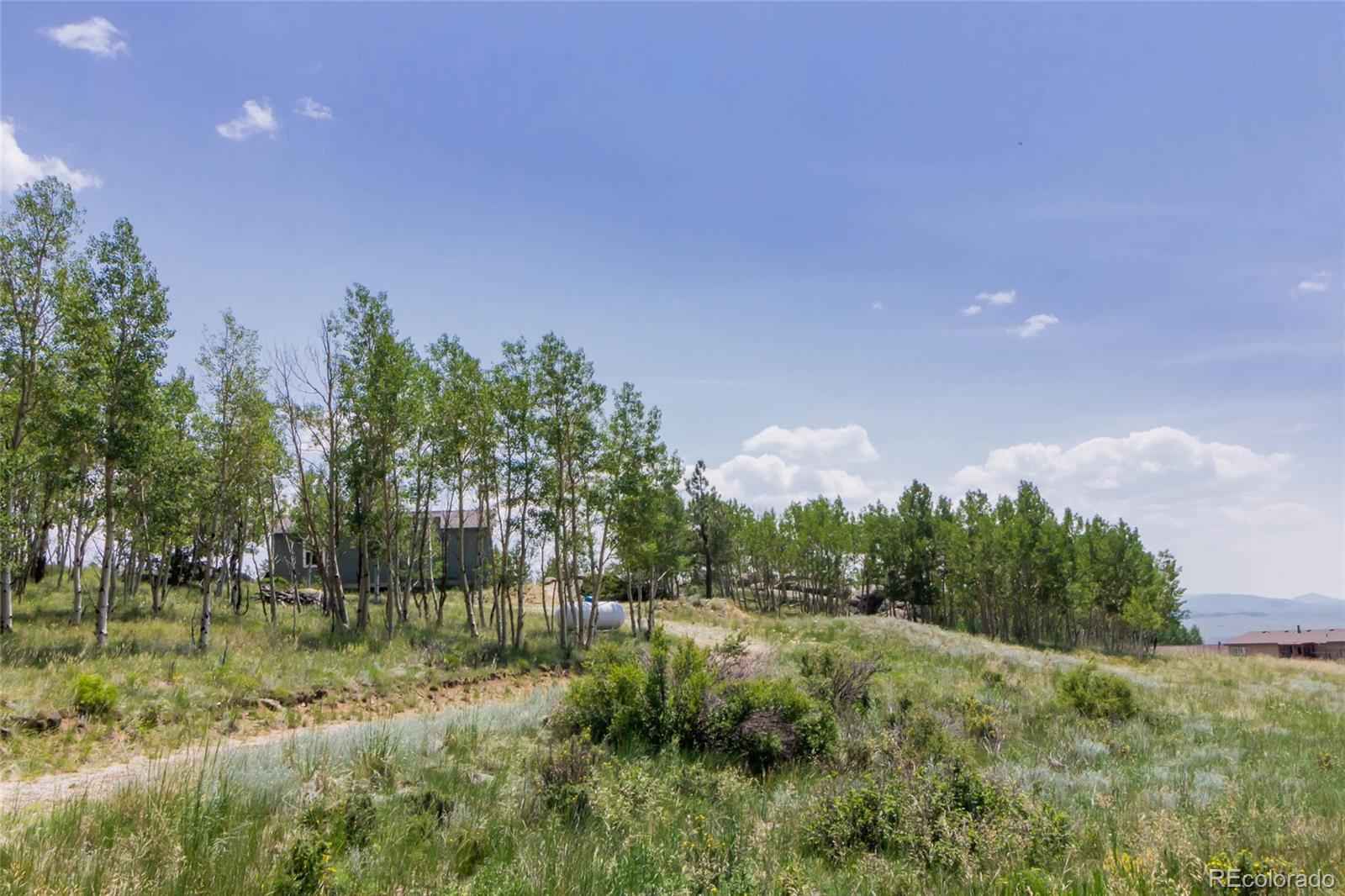 MLS Image #0 for 304  topaz road,lake george, Colorado