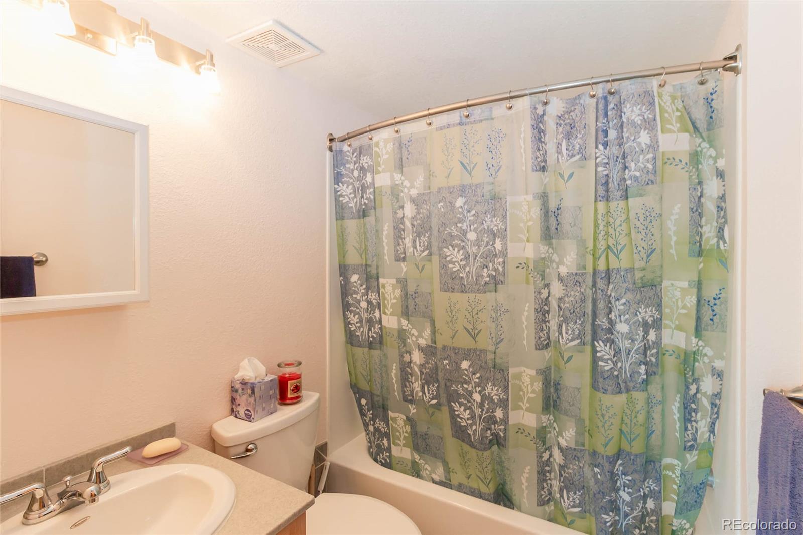 MLS Image #12 for 304  topaz road,lake george, Colorado