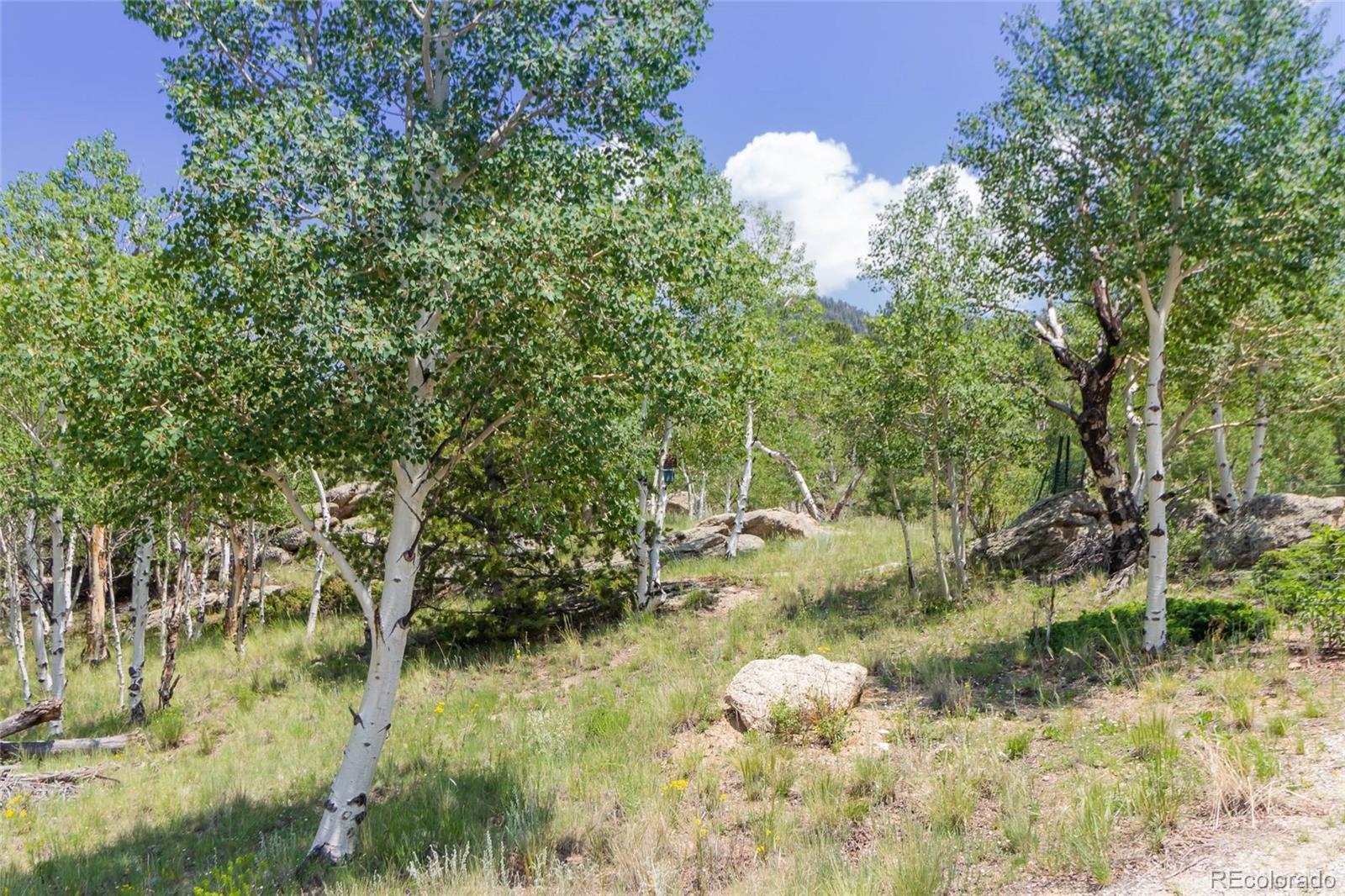 MLS Image #15 for 304  topaz road,lake george, Colorado