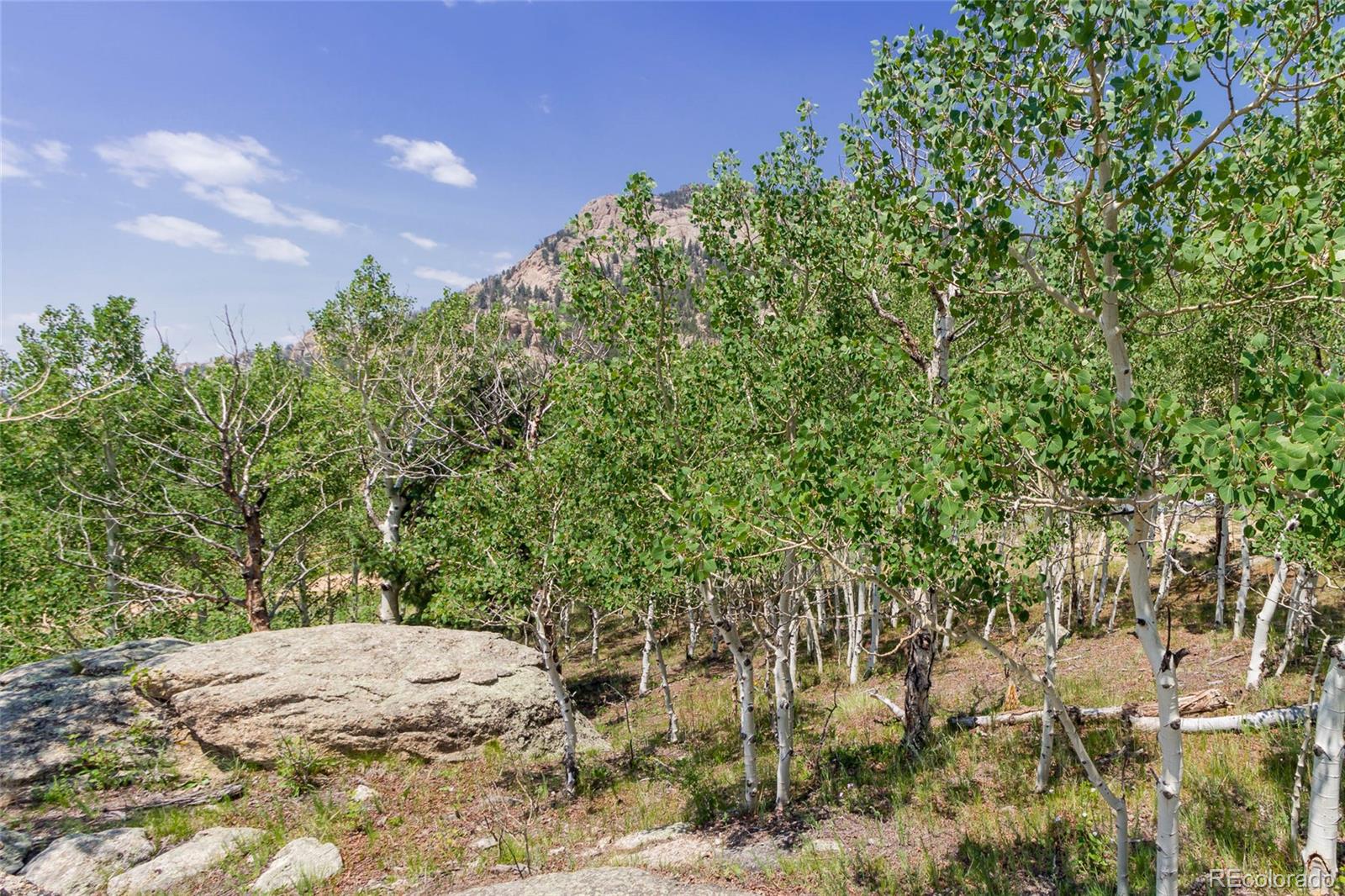 MLS Image #16 for 304  topaz road,lake george, Colorado