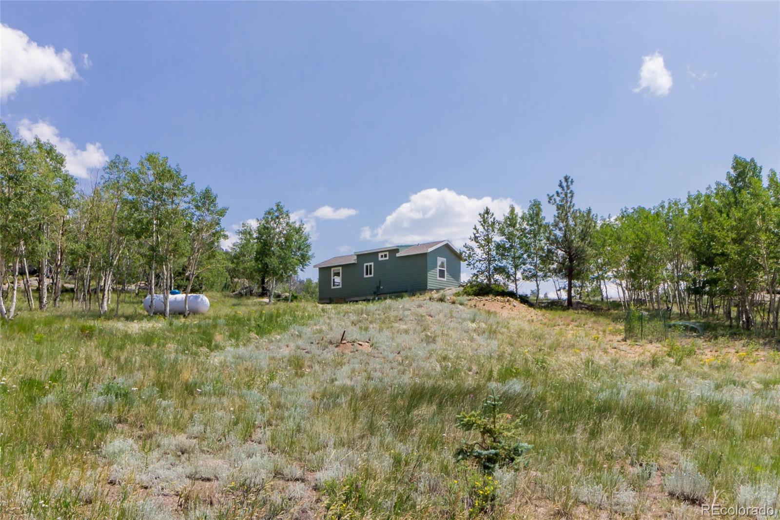 MLS Image #19 for 304  topaz road,lake george, Colorado