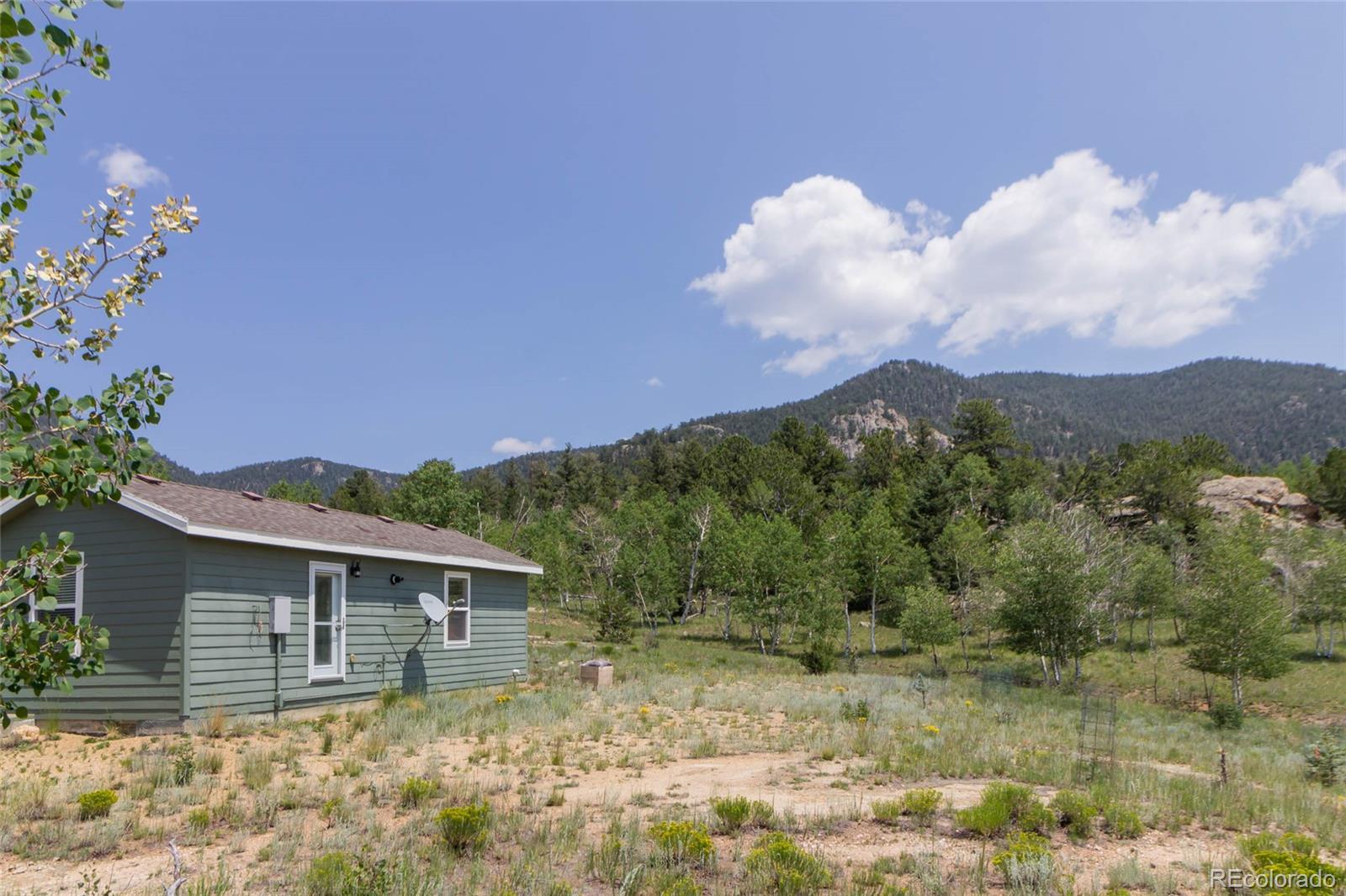 MLS Image #4 for 304  topaz road,lake george, Colorado