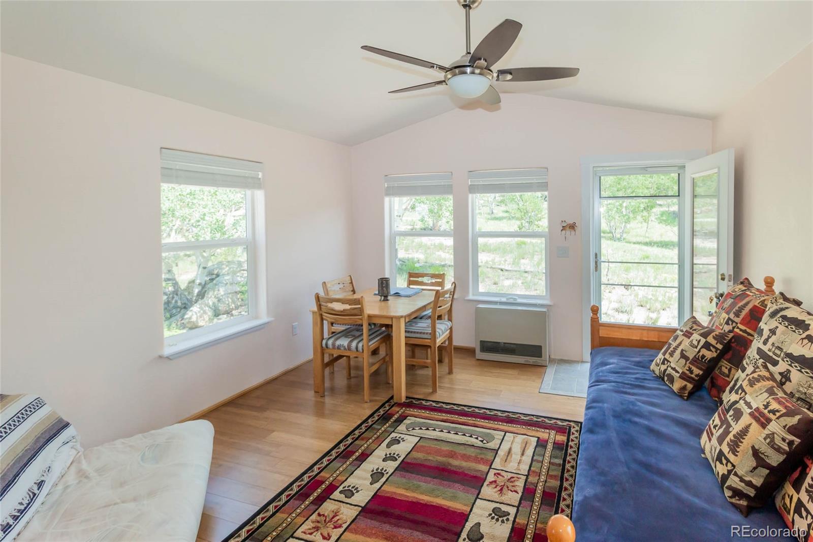 MLS Image #7 for 304  topaz road,lake george, Colorado