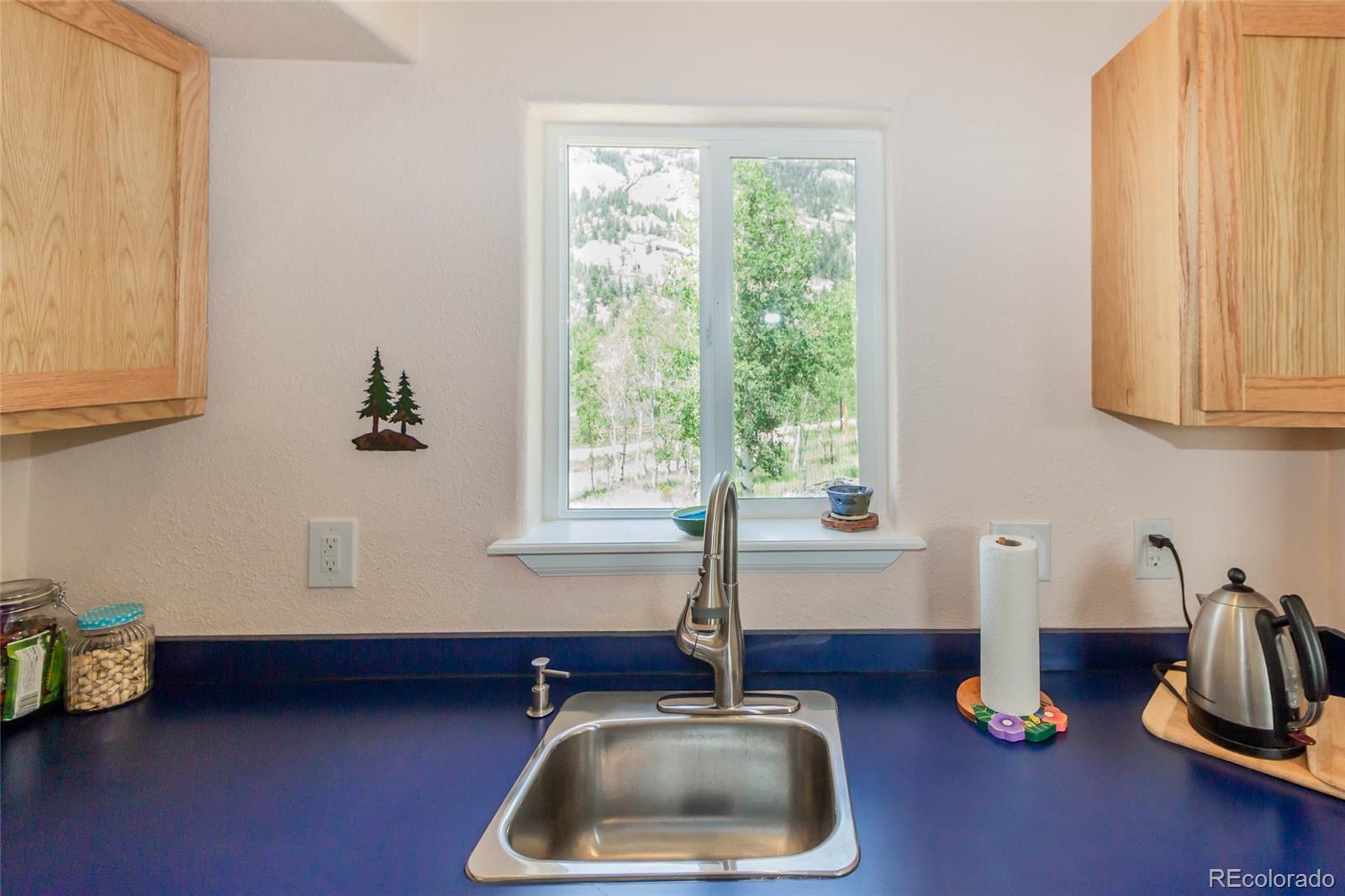 MLS Image #9 for 304  topaz road,lake george, Colorado