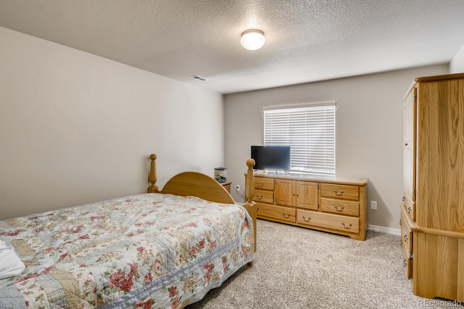 MLS Image #18 for 828  salmon pond way,colorado springs, Colorado