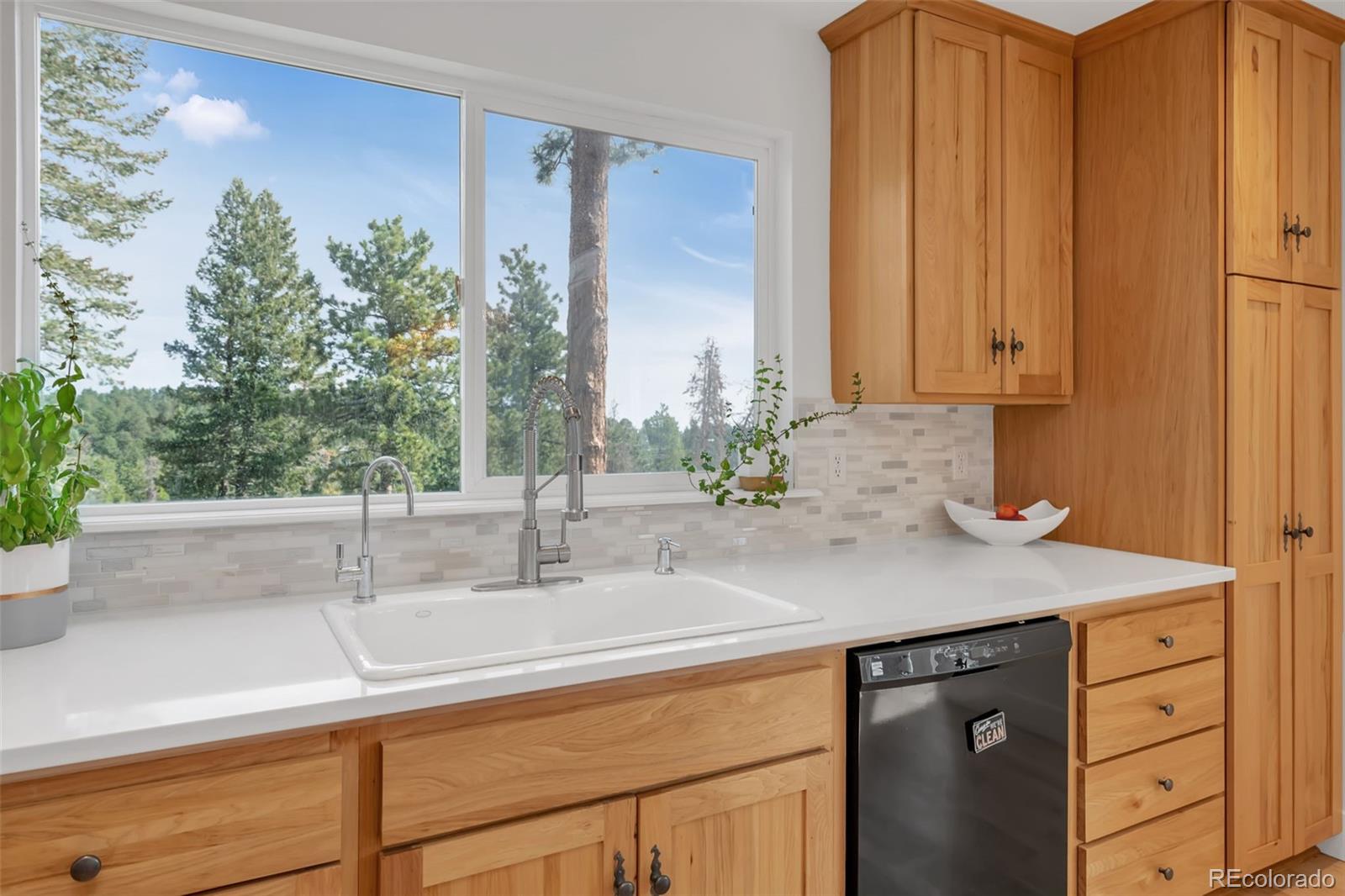 MLS Image #16 for 447  crescent lake road,golden, Colorado