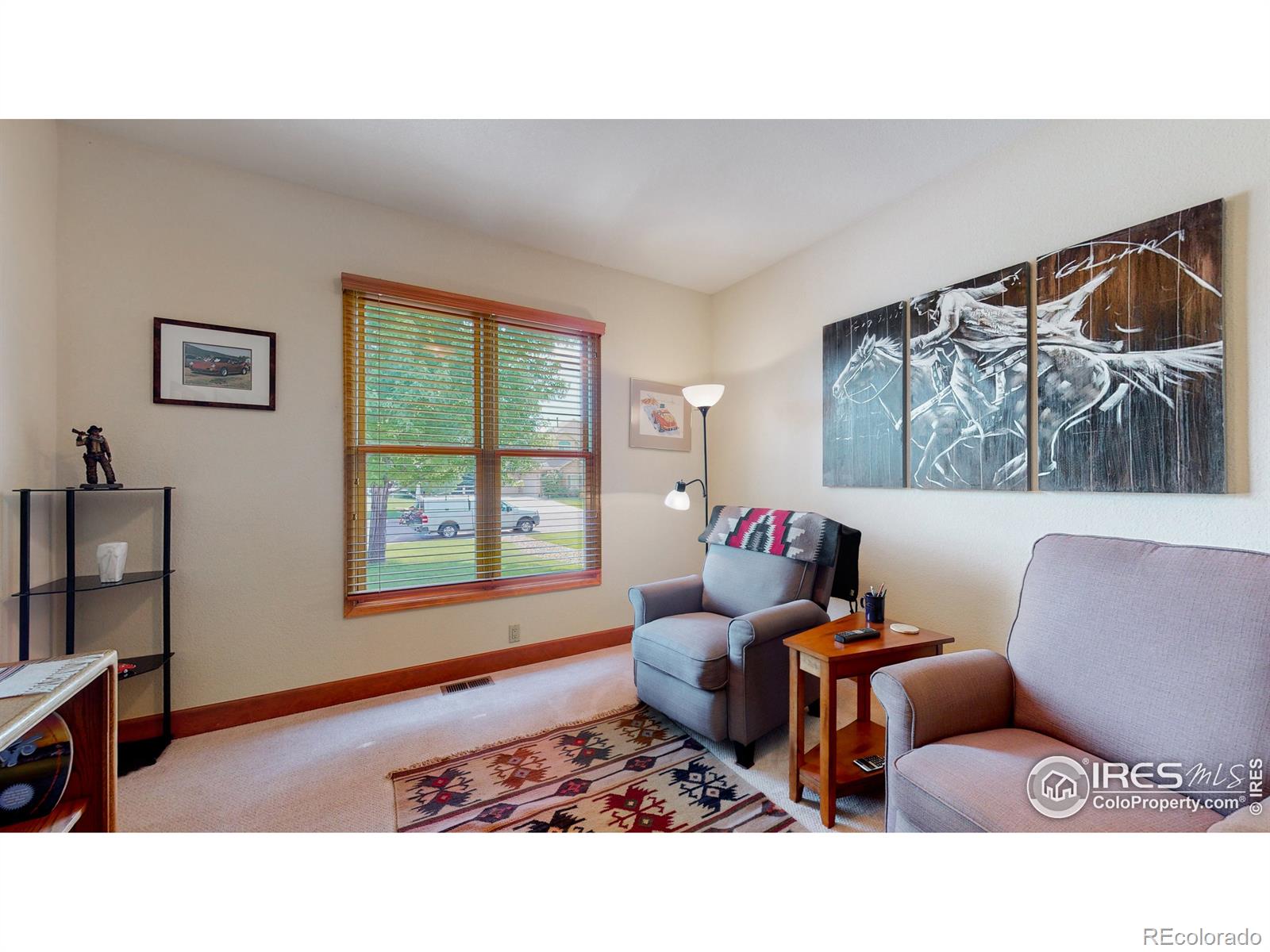 MLS Image #10 for 6941  saddleback avenue,firestone, Colorado