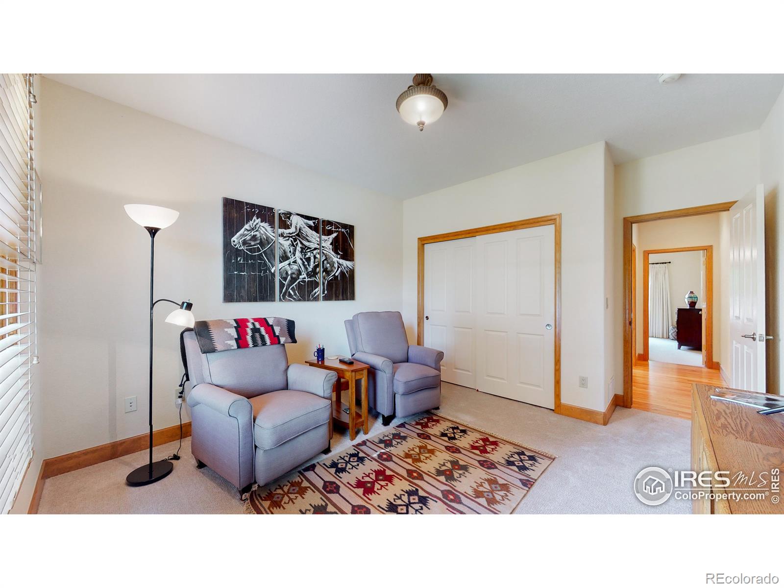 MLS Image #11 for 6941  saddleback avenue,firestone, Colorado