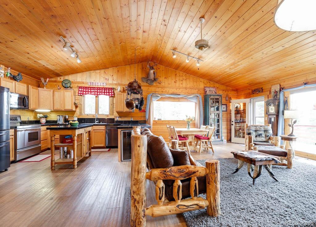 MLS Image #0 for 50  loch lomond road,idaho springs, Colorado