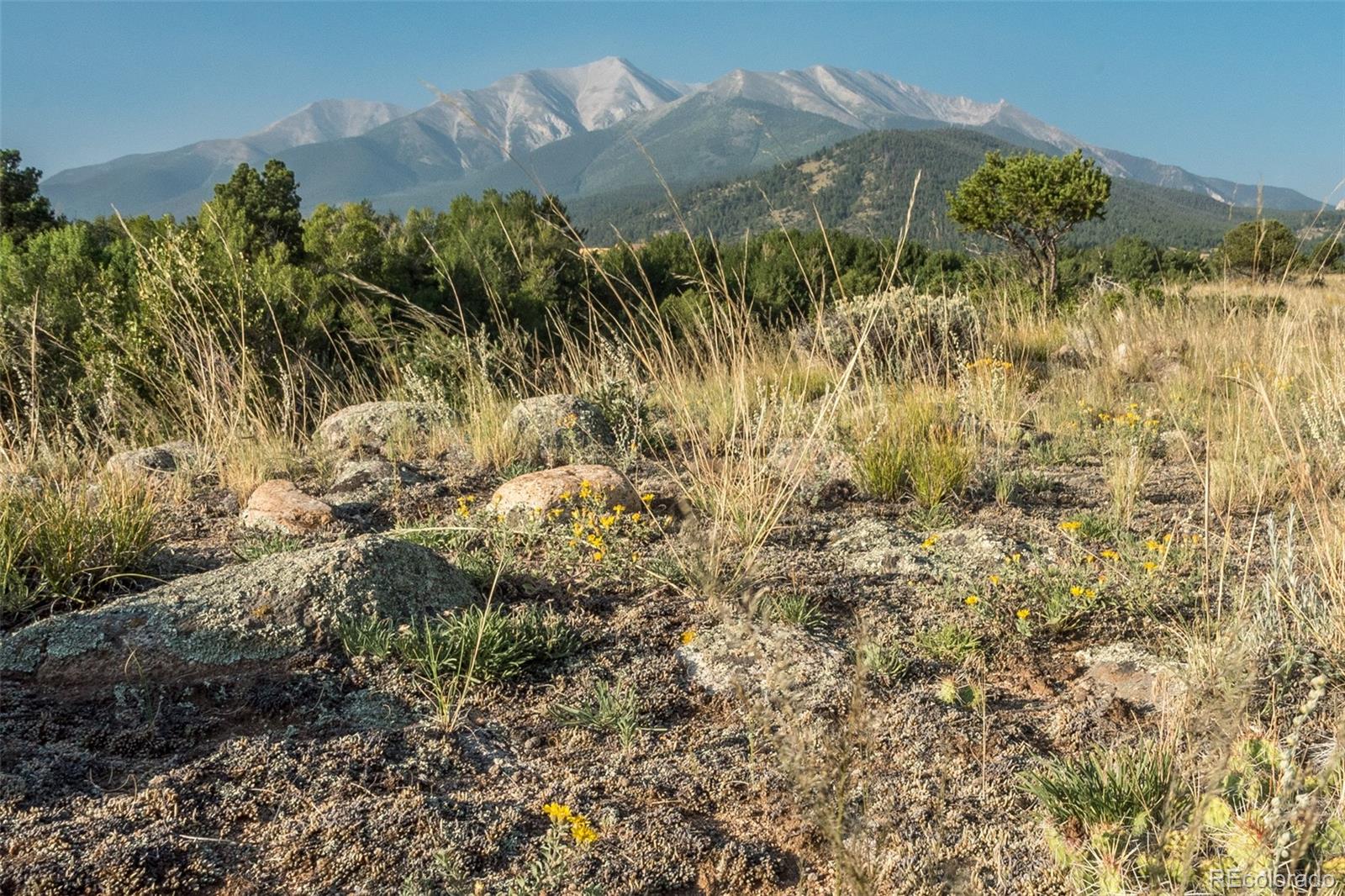 MLS Image #2 for 17503  reserve drive,buena vista, Colorado