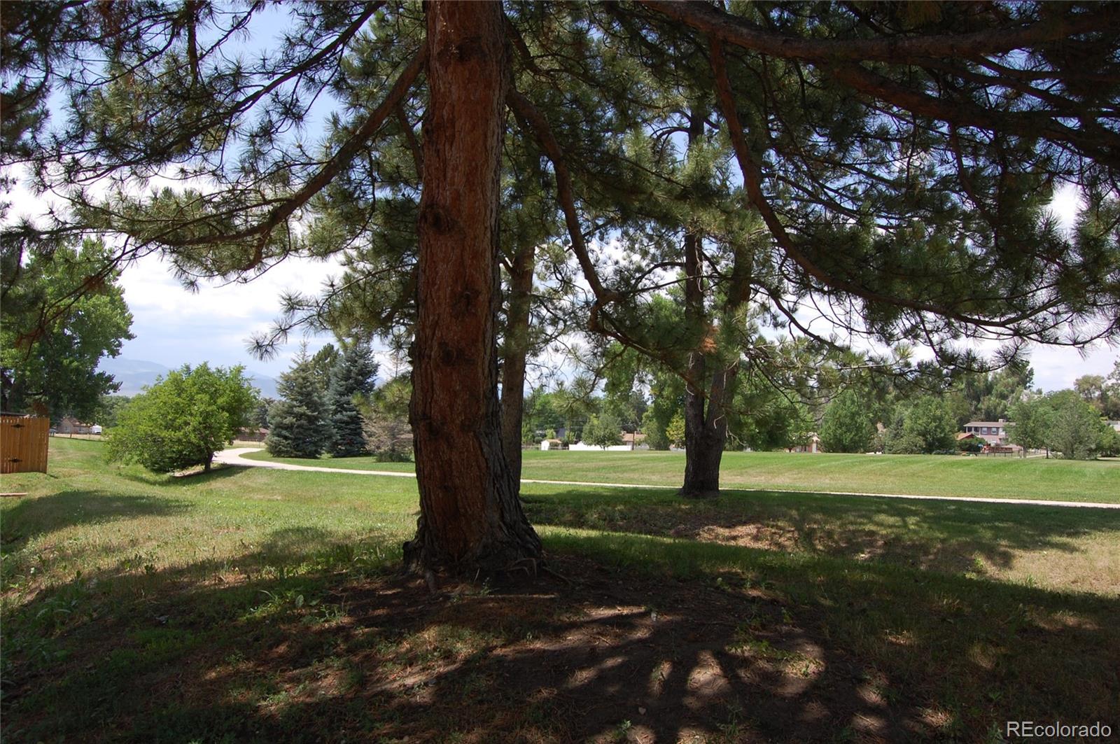 MLS Image #28 for 6602  independence street,arvada, Colorado