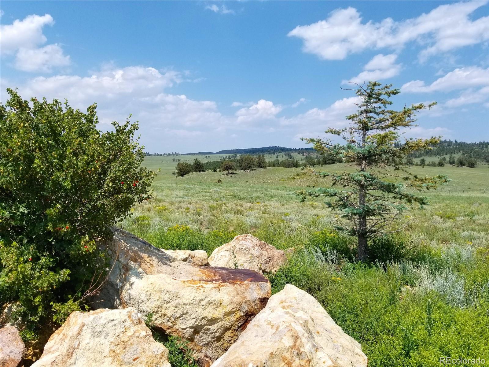 MLS Image #10 for 10570  county road 53 ,hartsel, Colorado