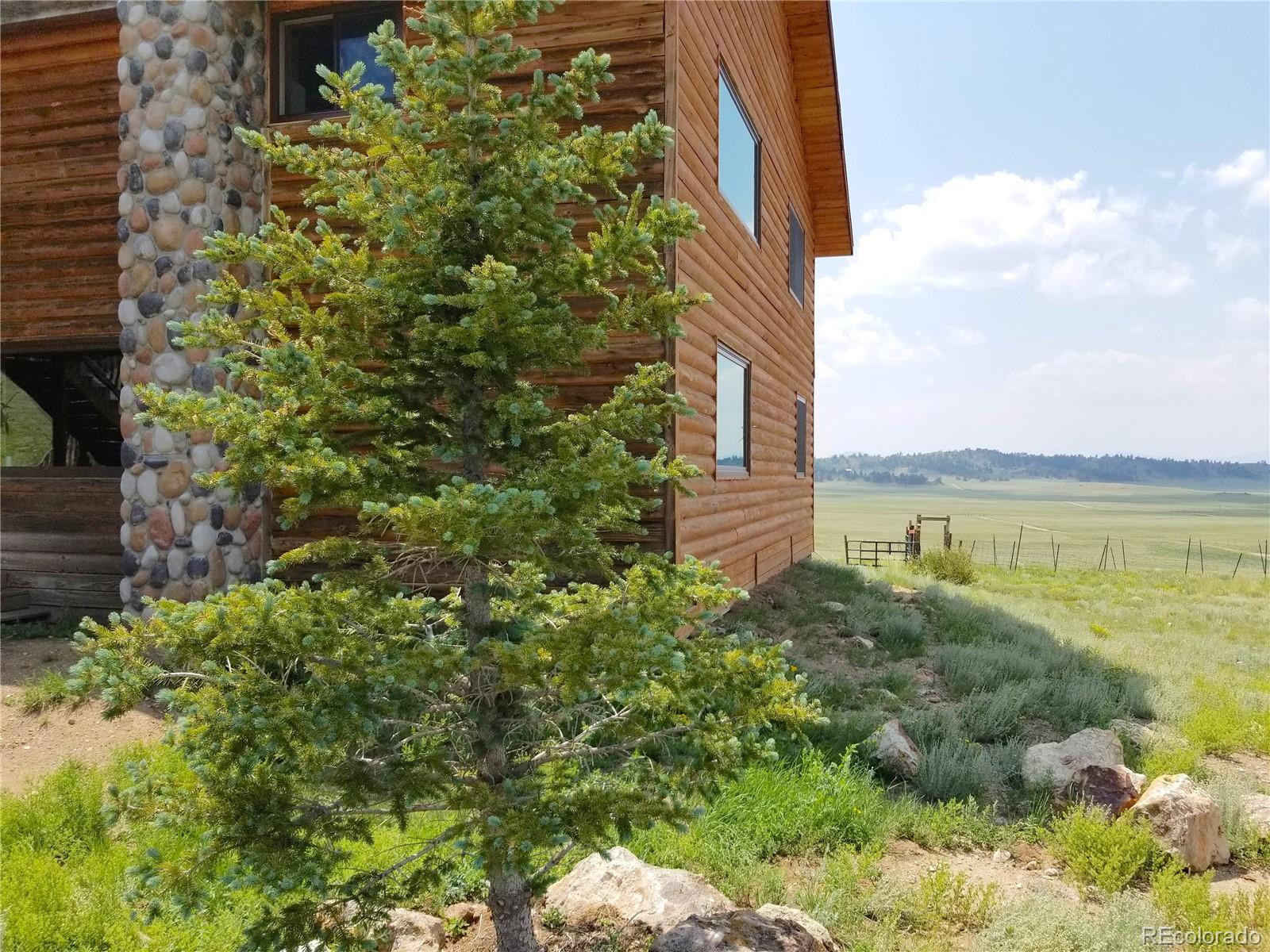 MLS Image #6 for 10570  county road 53 ,hartsel, Colorado