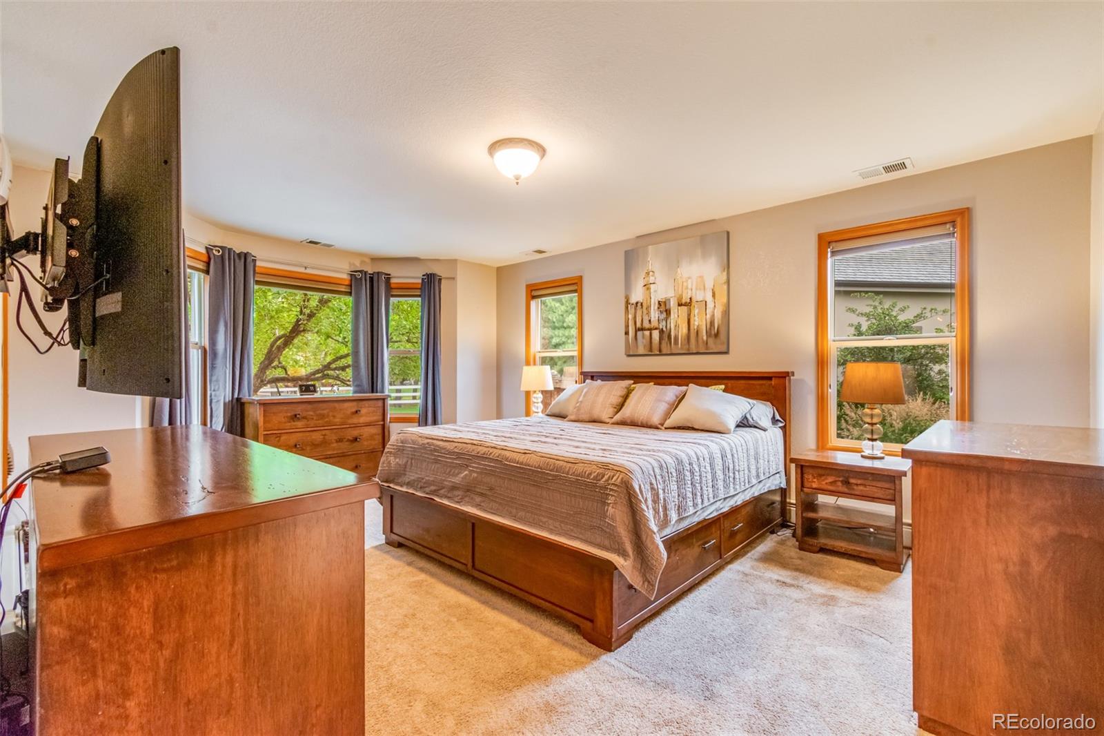 MLS Image #10 for 5885  zinnia court,arvada, Colorado