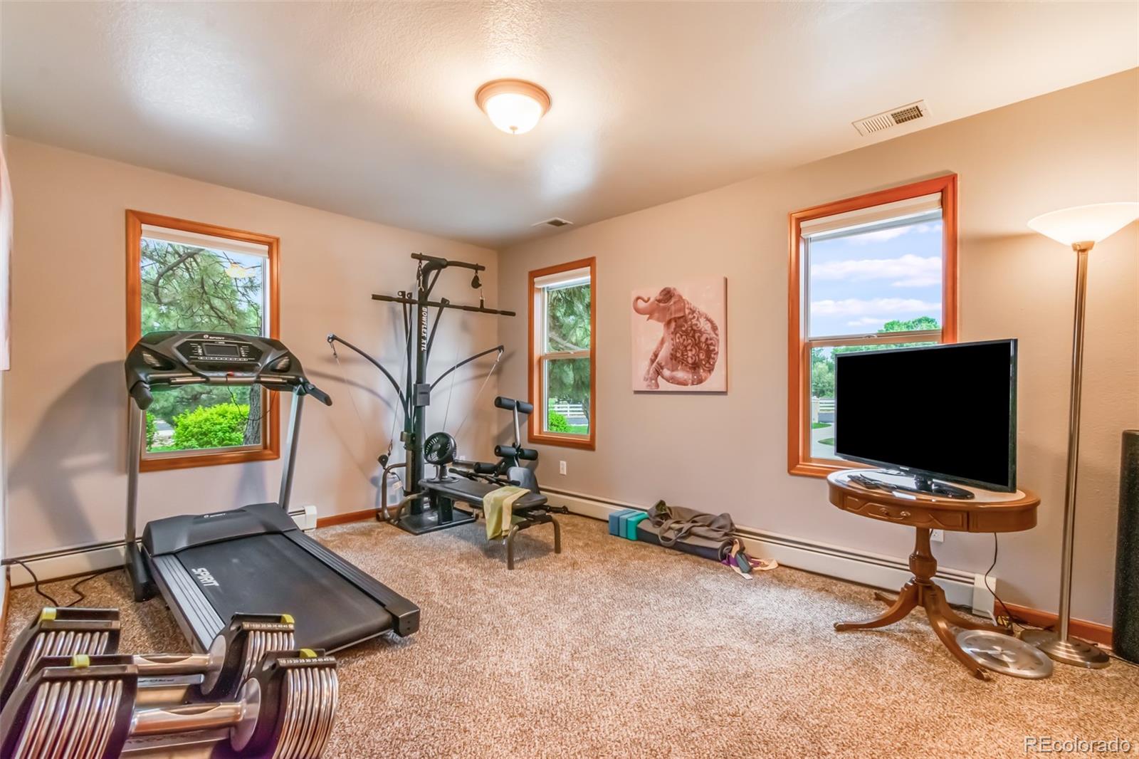 MLS Image #15 for 5885  zinnia court,arvada, Colorado
