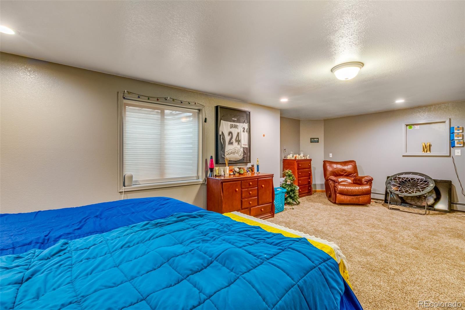 MLS Image #22 for 5885  zinnia court,arvada, Colorado