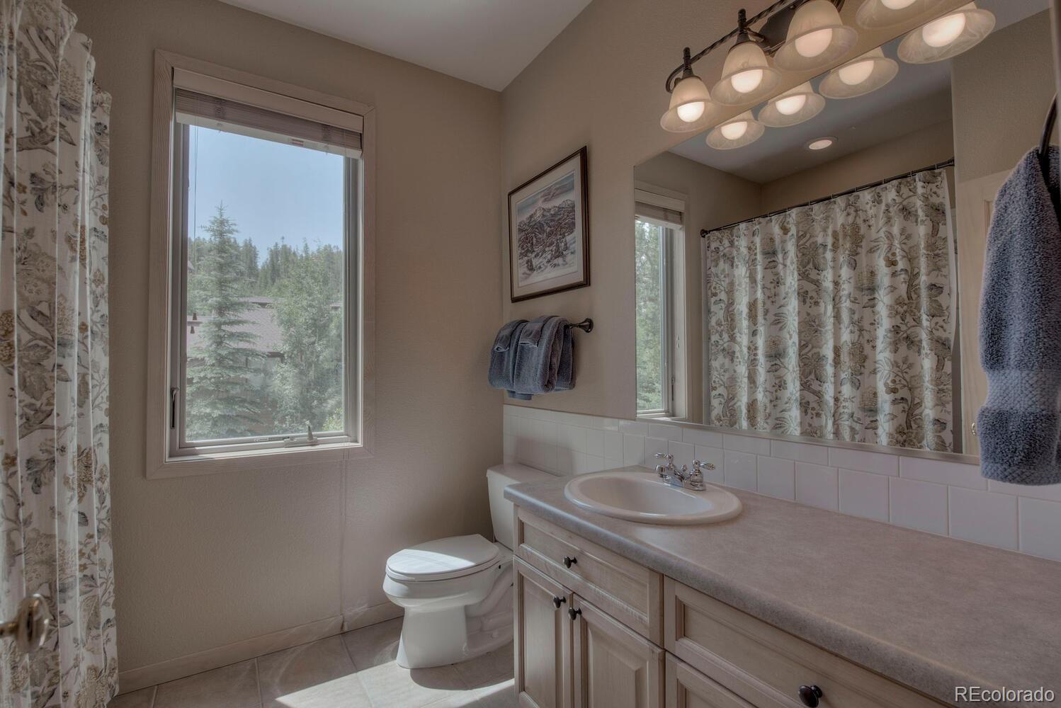 MLS Image #12 for 418  kestrel lane,silverthorne, Colorado